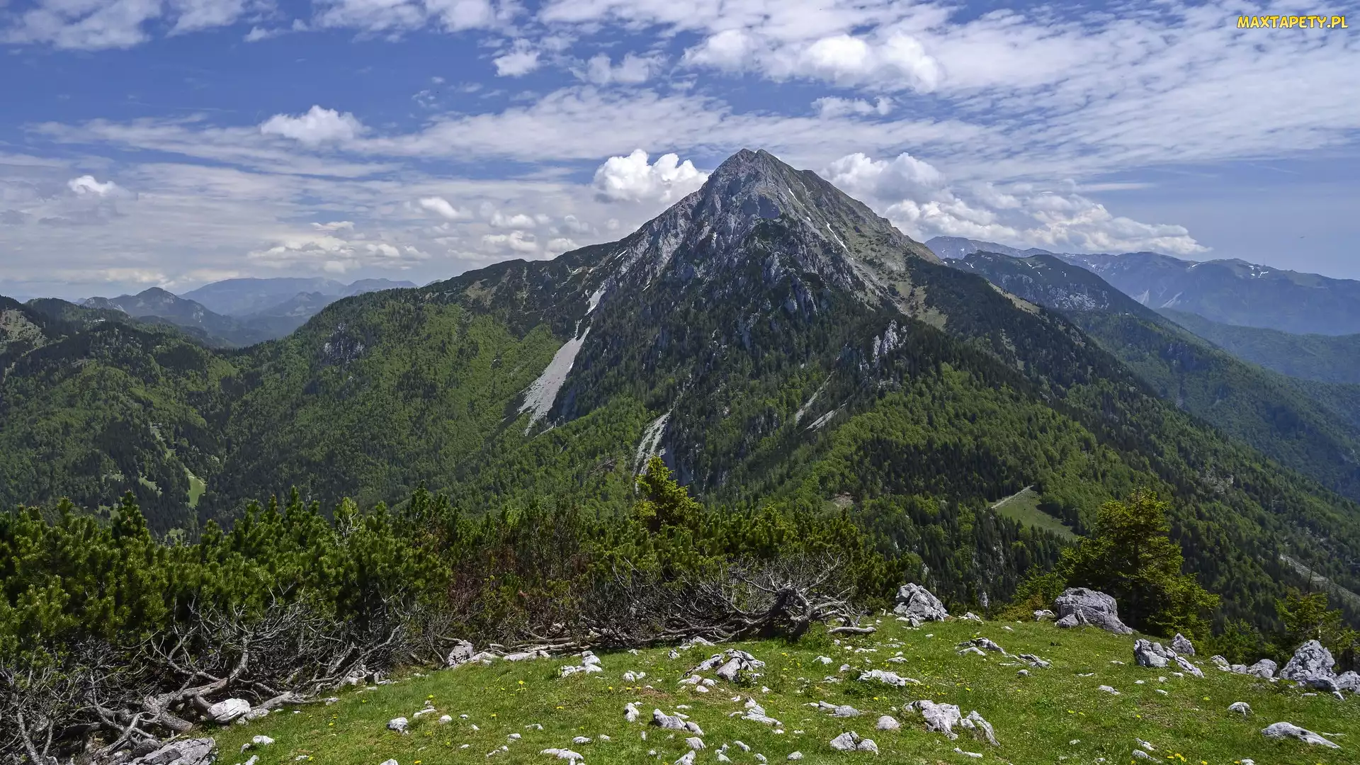 Skały, Krzewy, Góry, Słowenia, Iglaki, Zalesione, Alpy Kamnickie