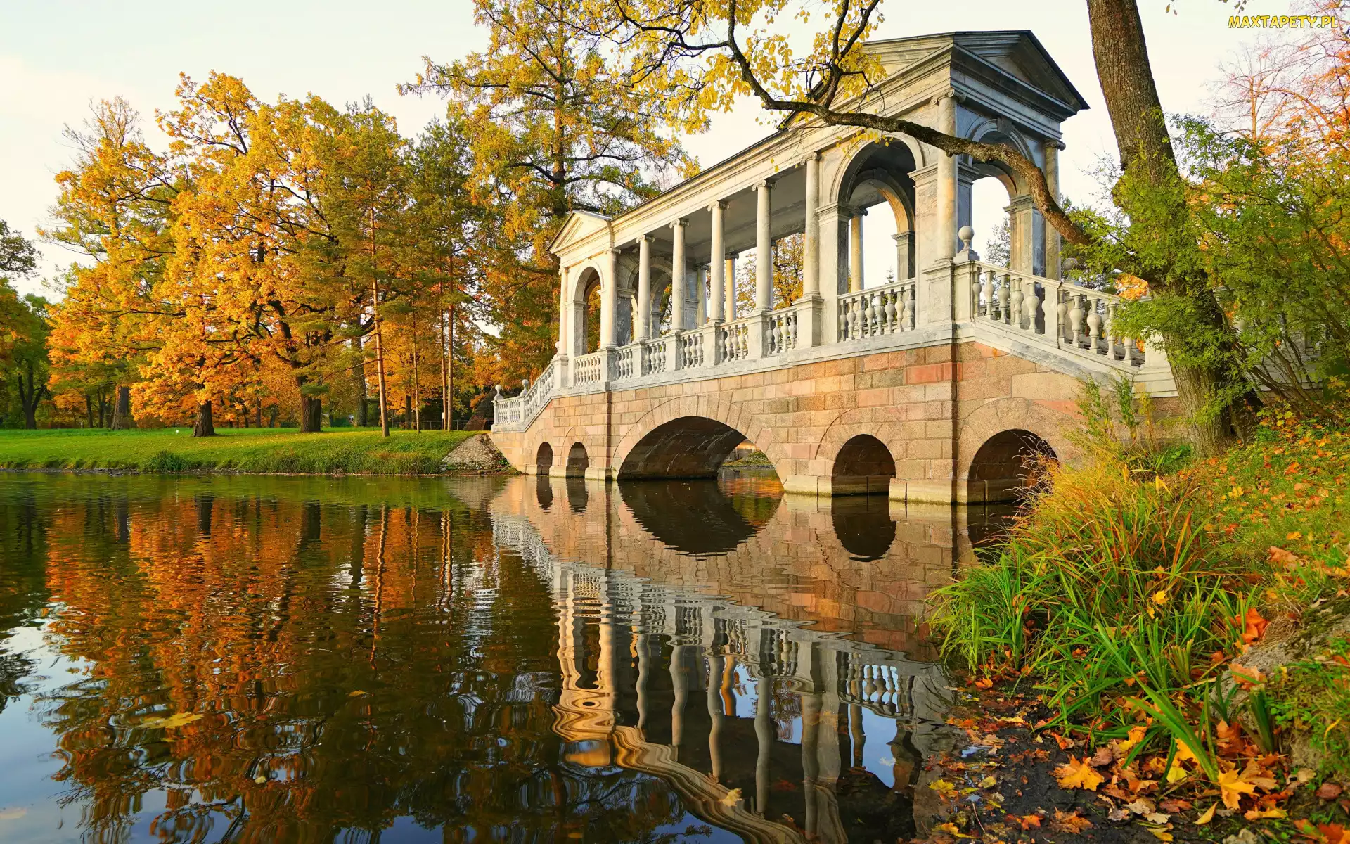 Park, Petersburg, Drzewa, Rosja, Carskie Sioło, Staw, Jesień, Kryty, Most