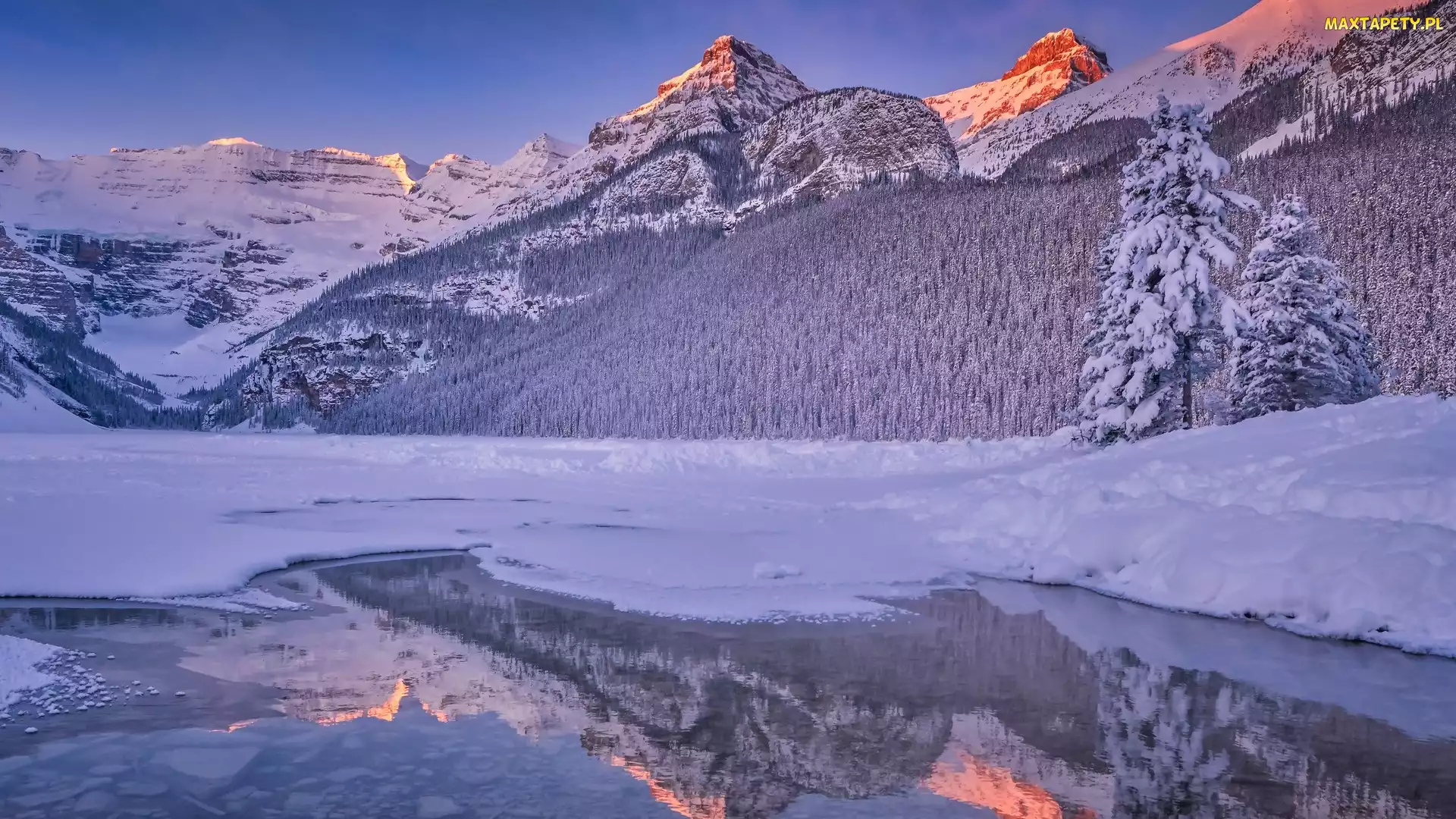 Lake Louise, Odbicie, Zima, Zamarznięte, Park Narodowy Banff, Kanada, Góry, Alberta, Jezioro, Ośnieżone, Drzewa