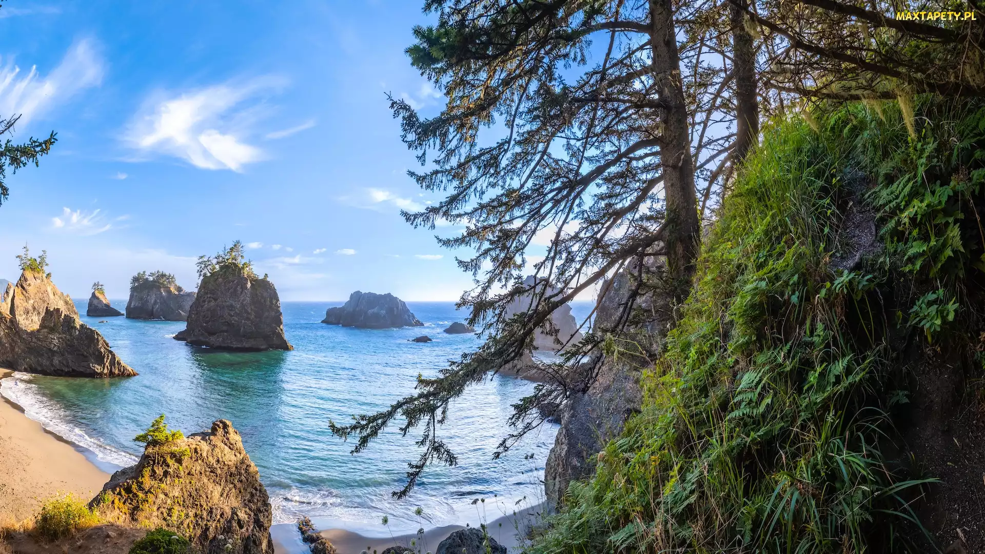 Morze, Oregon, Samuel H Boardman State Scenic Corridor, Stany Zjednoczone, Brookings, Wybrzeże Park stanowy, Wysepki, Skały, Drzewa