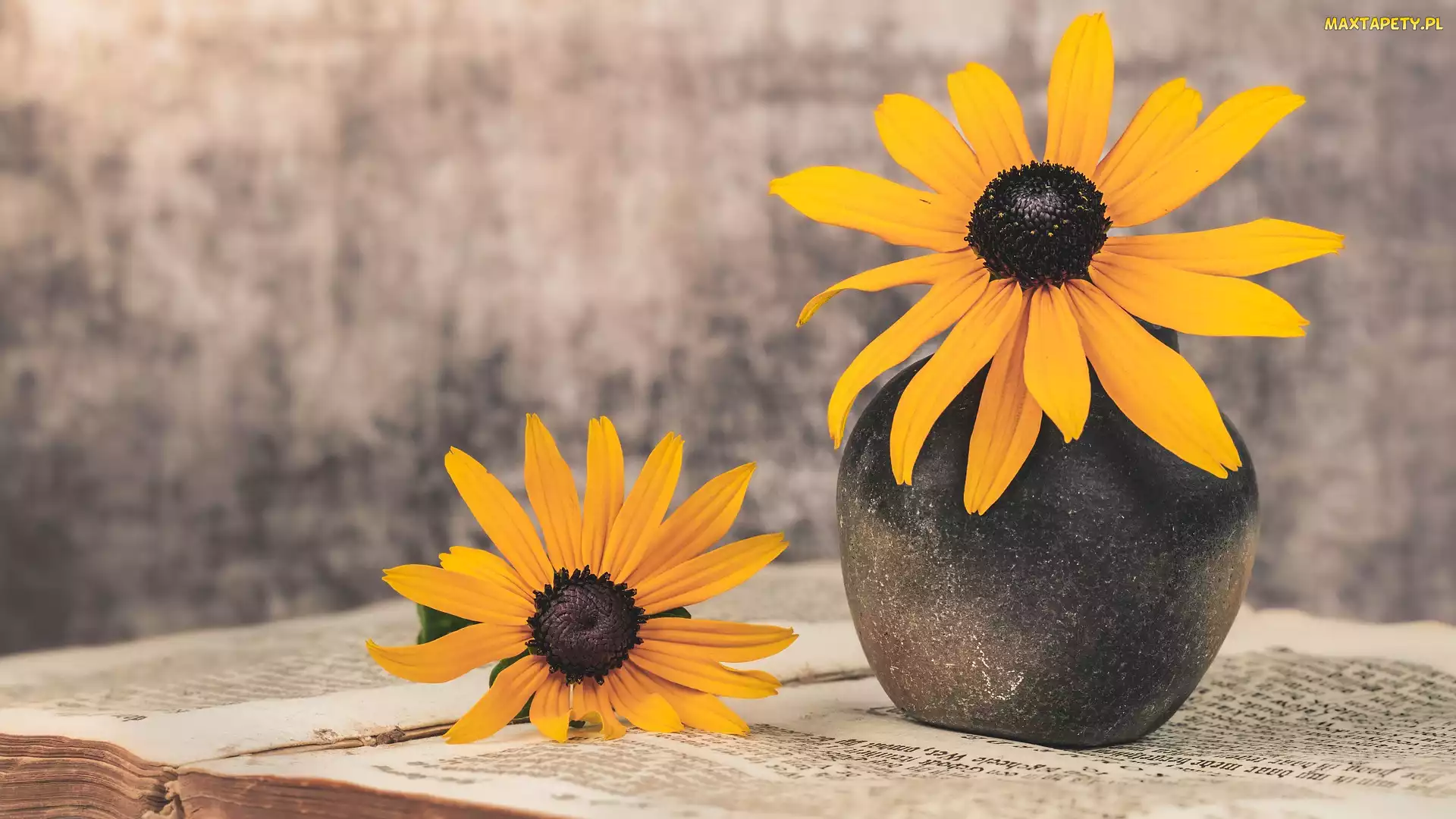 Kwiaty, Książka, Wazon, Rudbekia, Żółte
