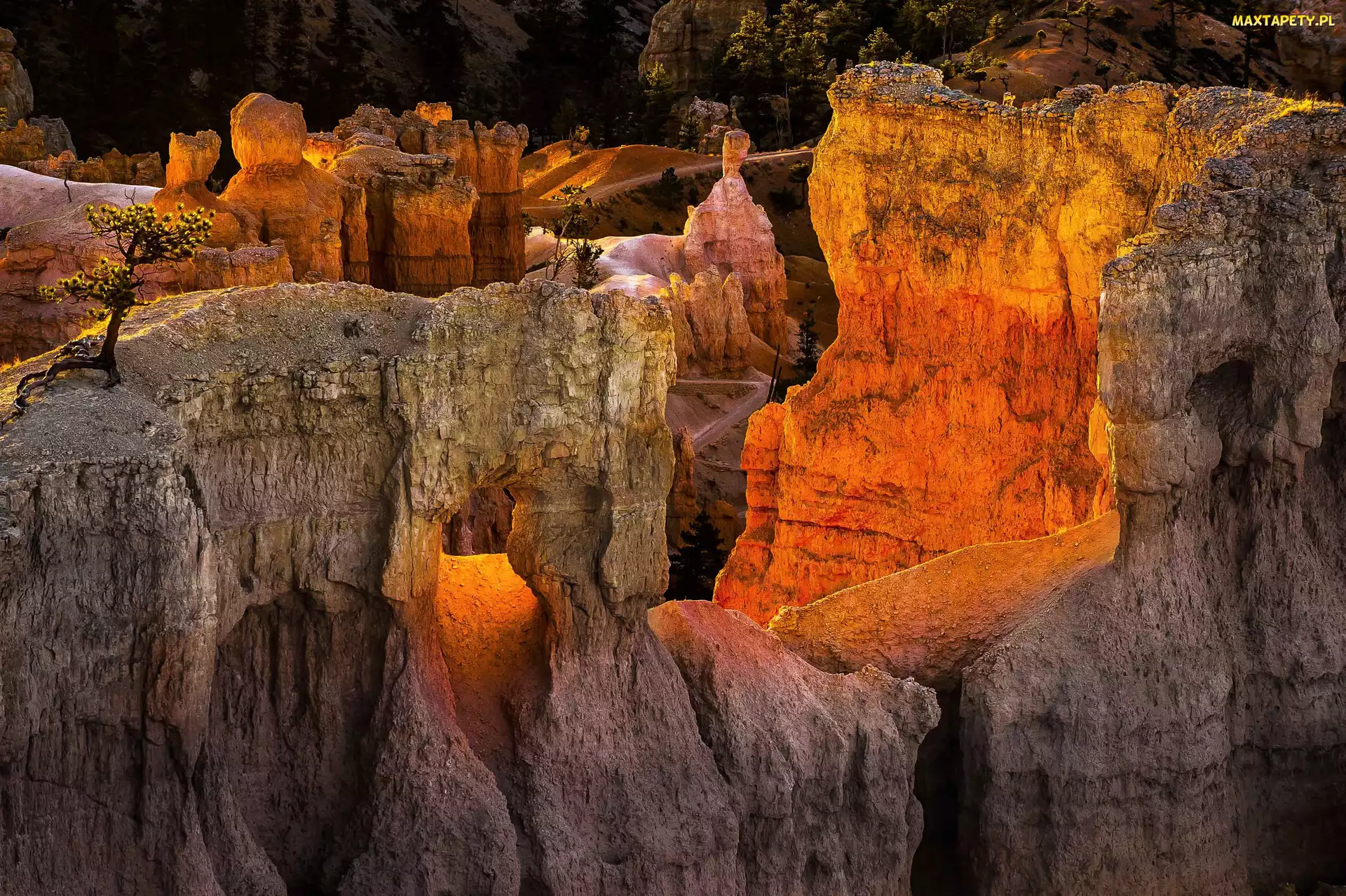 Stany Zjednoczone, Skały, Góry, Stan Utah, Park Narodowy Bryce Canyon