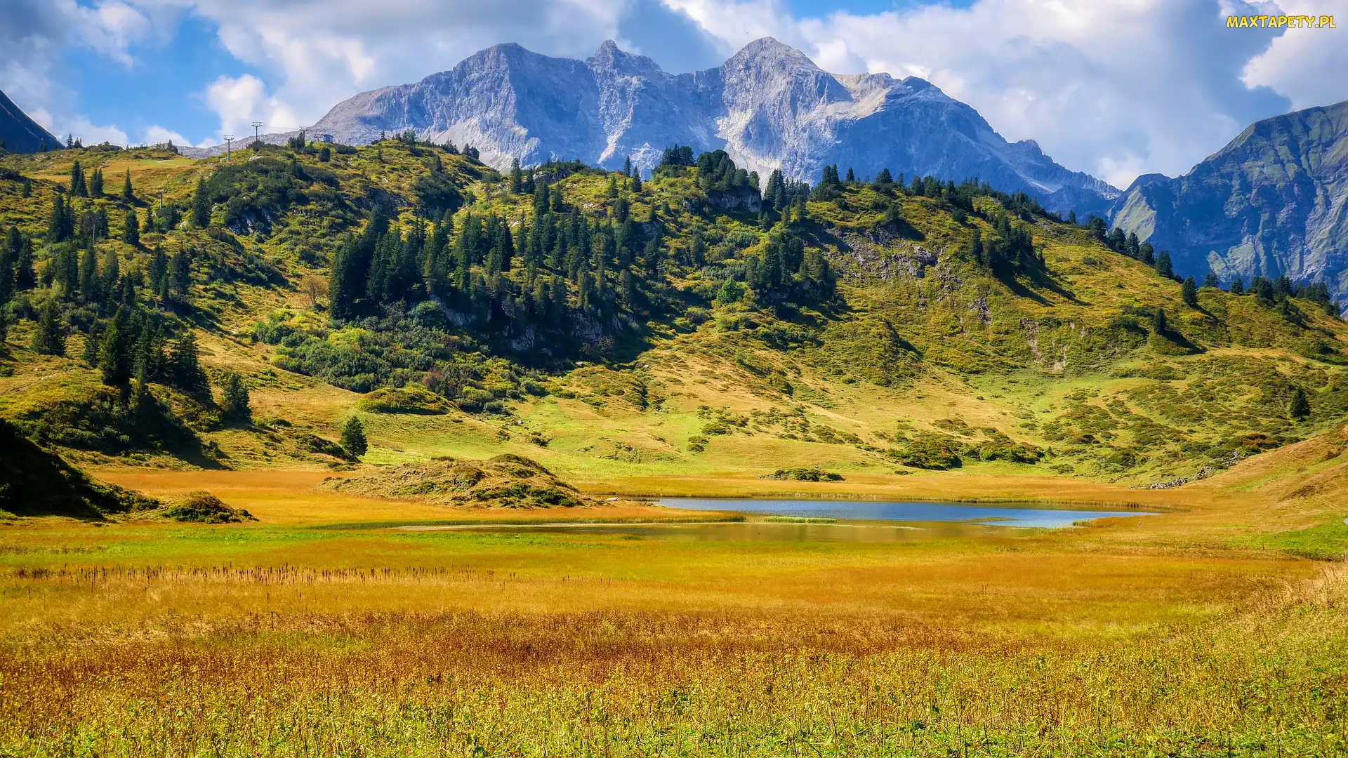 Drzewa, Polana, Tyrol, Jezioro, Góry, Austria, Alpy