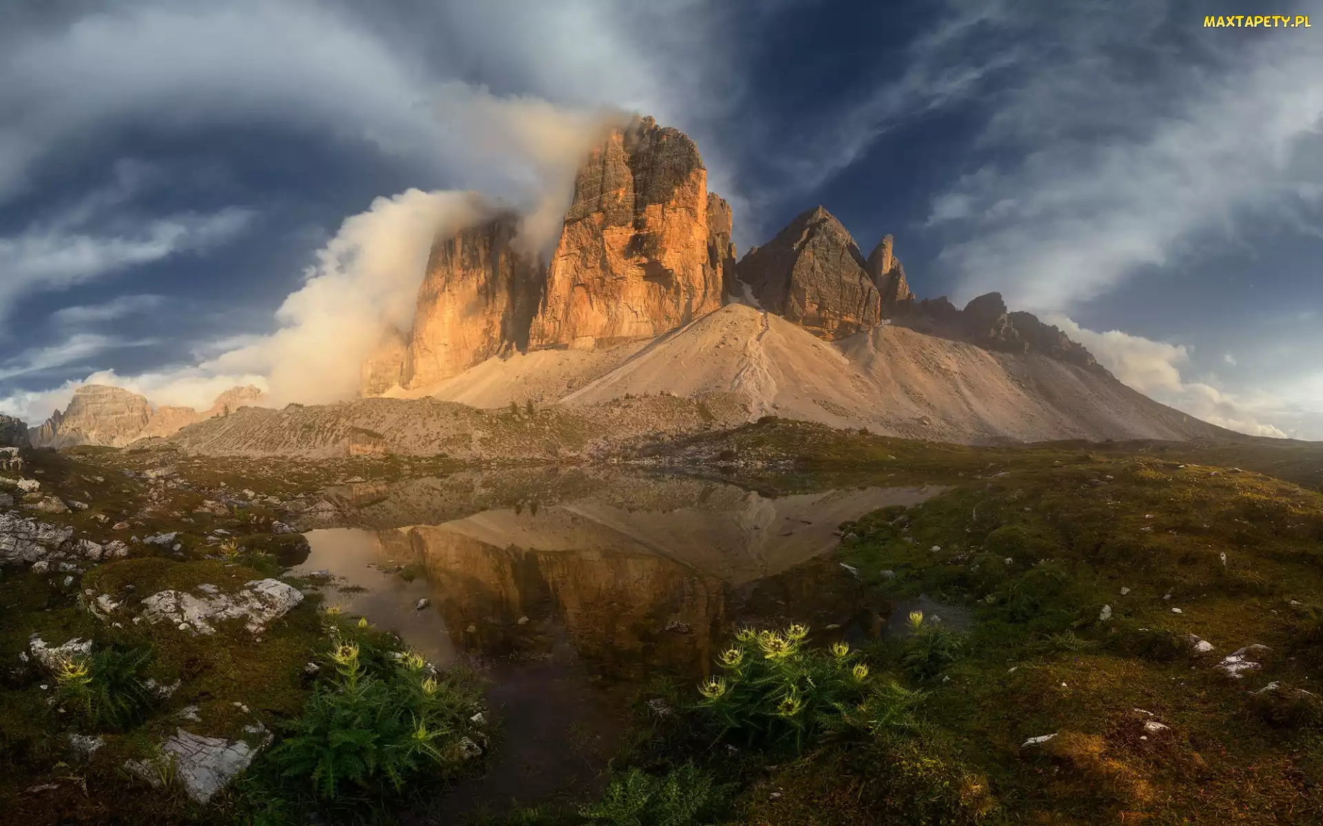 Chmury, Kwiaty, Dolomity, Włochy, Trawa, Góry, Tre Cime di Lavaredo