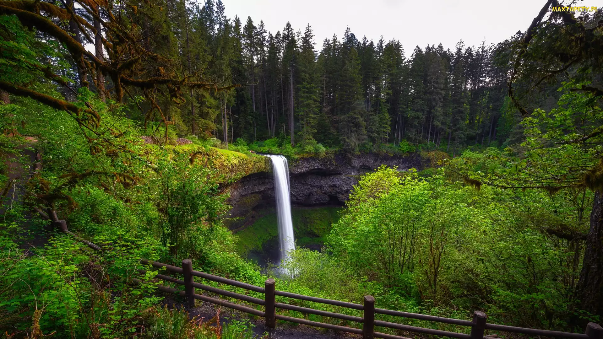 Stan Oregon, Park stanowy Silver Falls, South Falls, Stany Zjednoczone, Drzewa, Wodospad, Skały