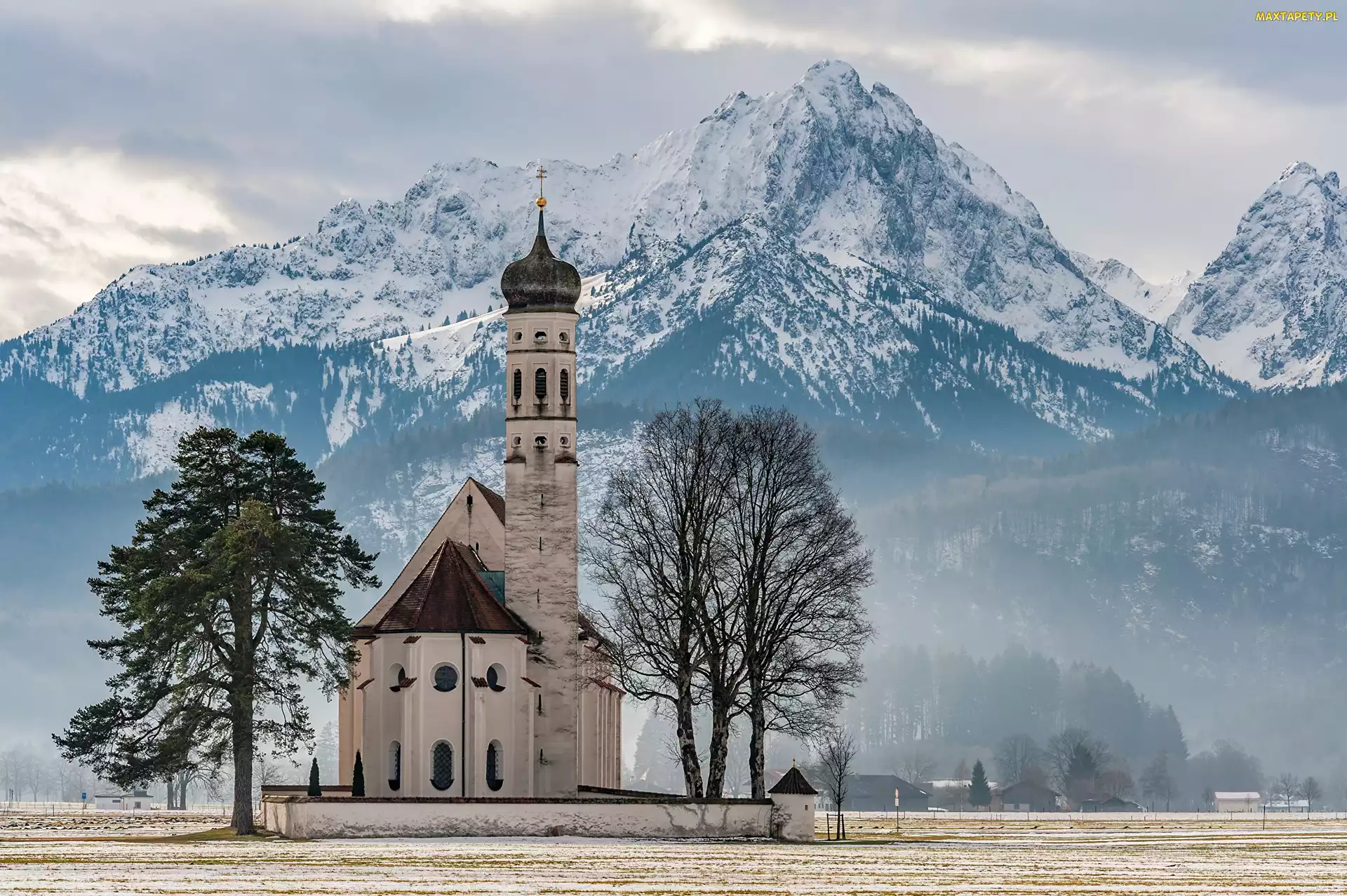 Alpy, Góry, Bawaria, Drzewa, Kościół St Coloman, Niemcy, Schwangau