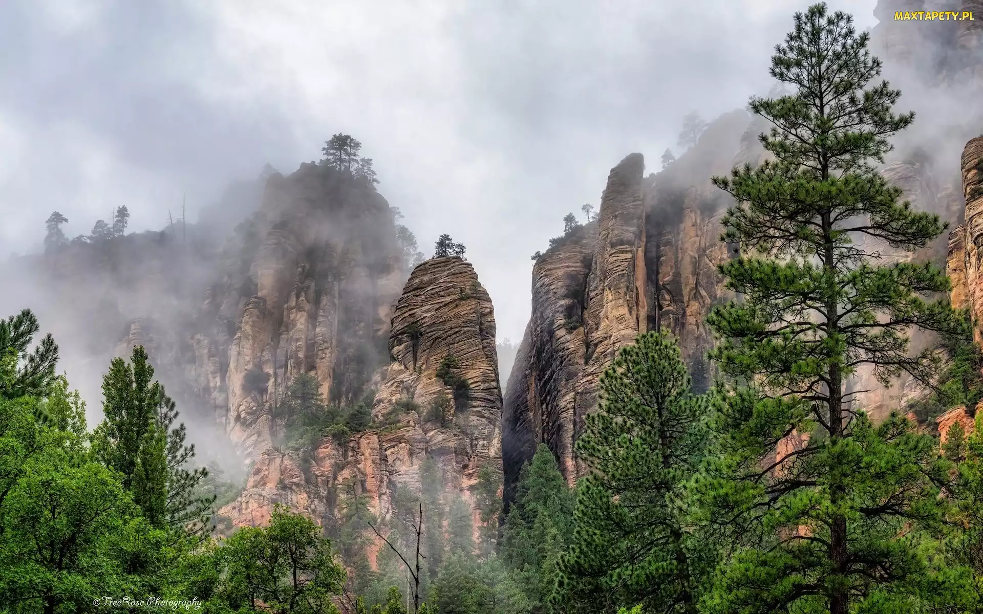 Mgła, Skały, Arizona, Drzewa, Oak Creek Canyon, Stany Zjednoczone, Wąwóz
