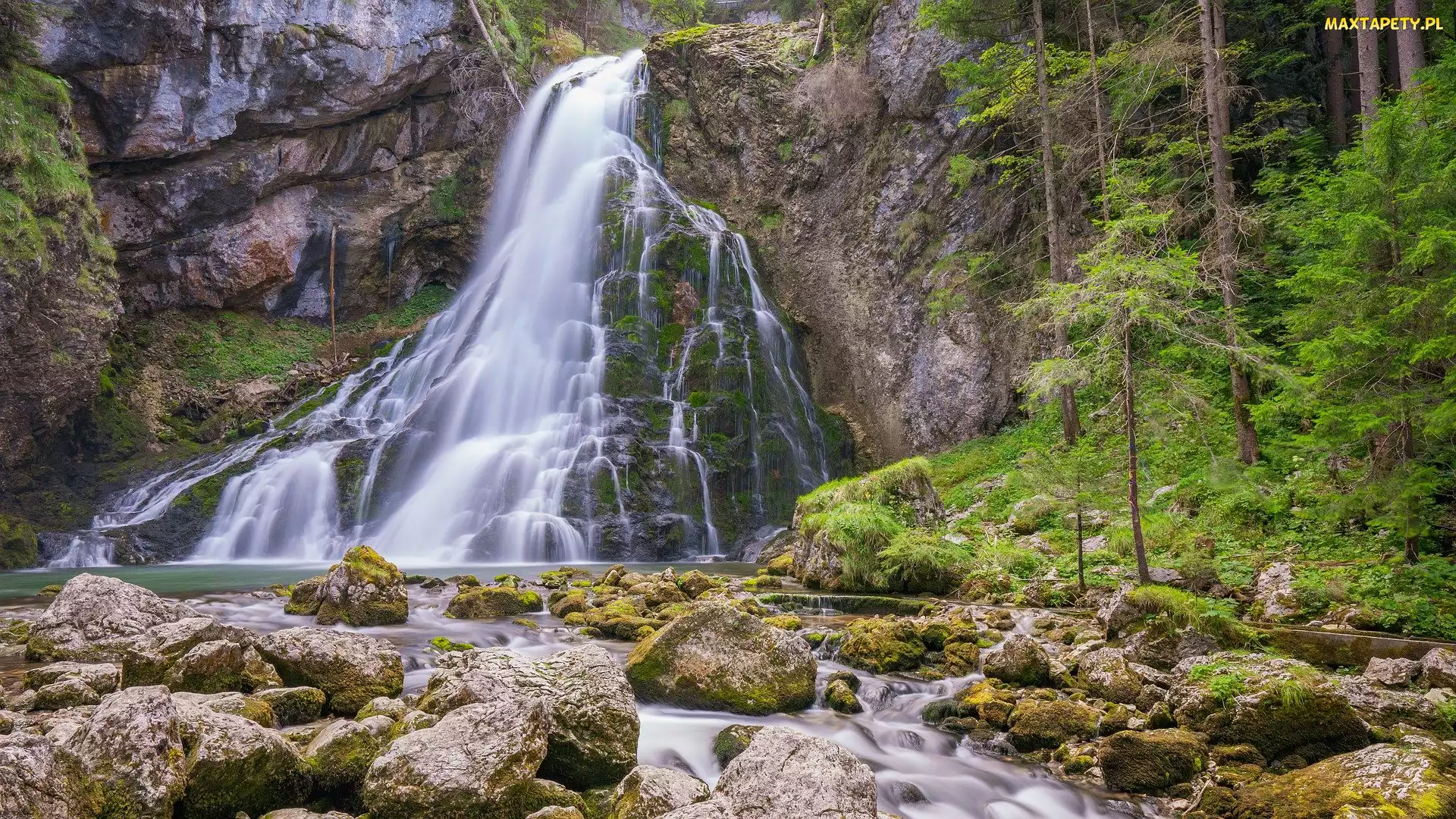Wodospad Gollinger, Omszałe, Las, Kamienie, Powiat Hallein, Rzeka, Austria, Drzewa