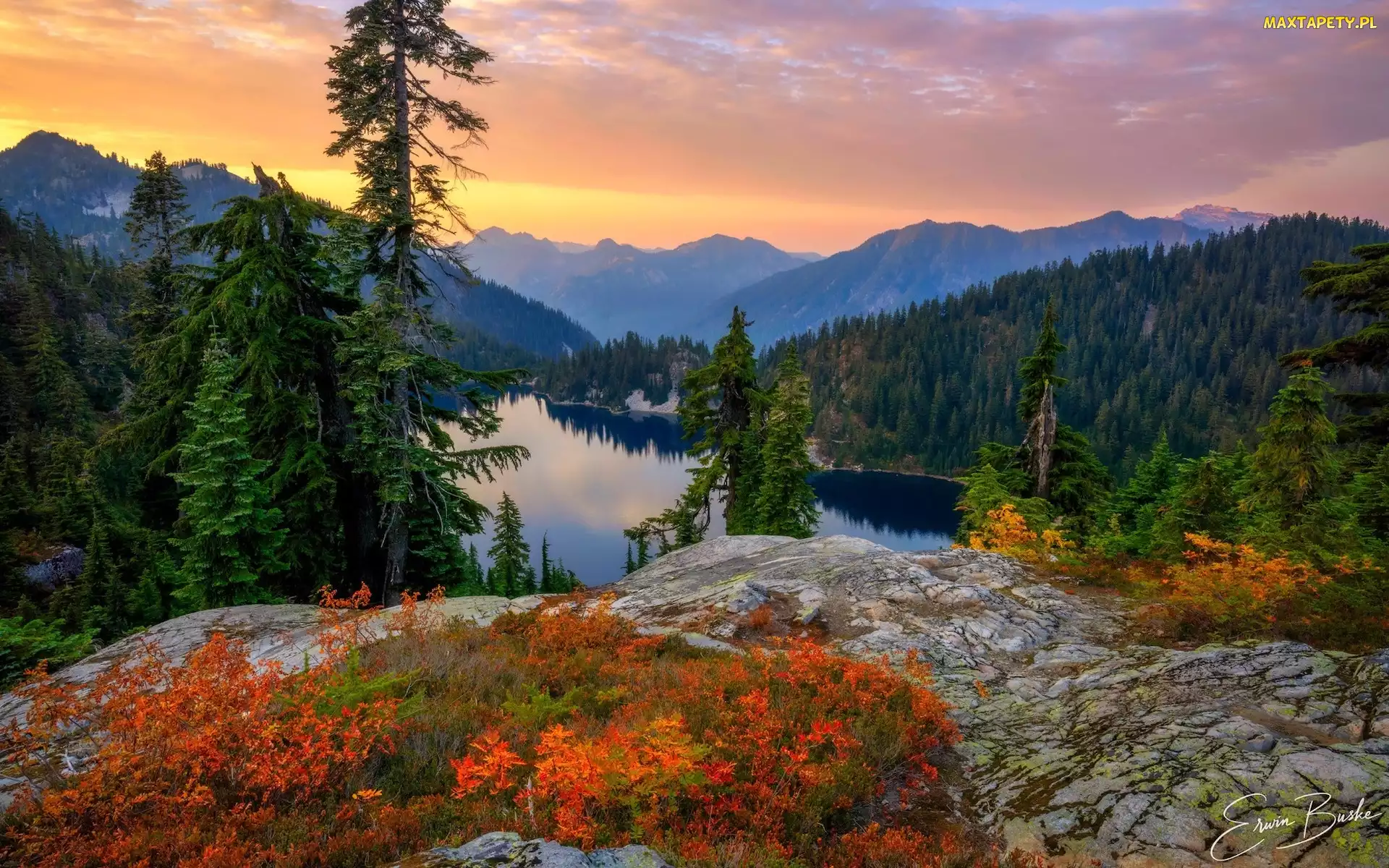 Stany Zjednoczone, Drzewa, Góry Kaskadowe, Krzewy, Skały, Snow Lake, Stan Waszyngton, Hrabstwo King County, Jezioro