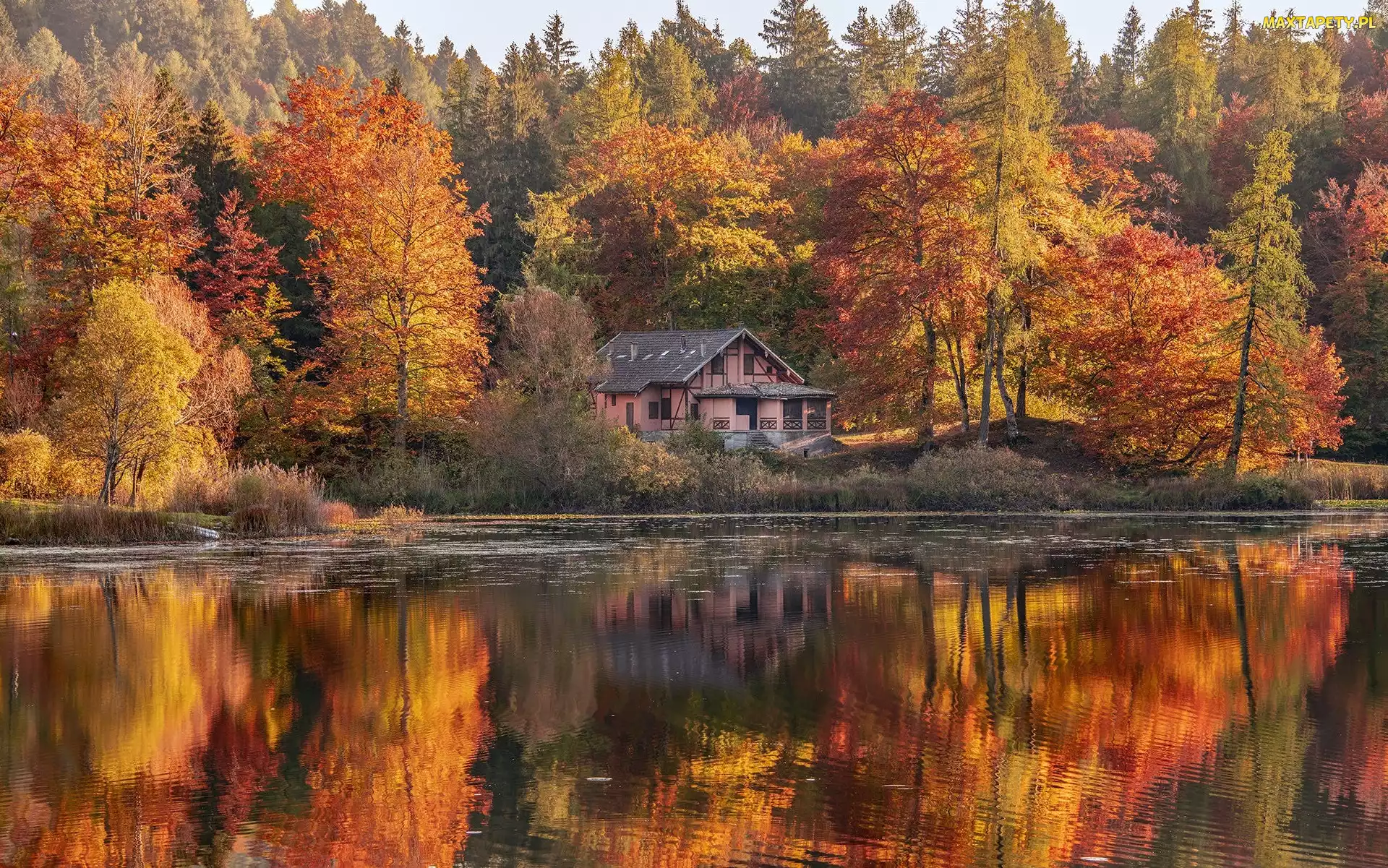 Lago di Cei, Jesień, Jezioro, Drzewa, Trentino, Las, Włochy, Dom
