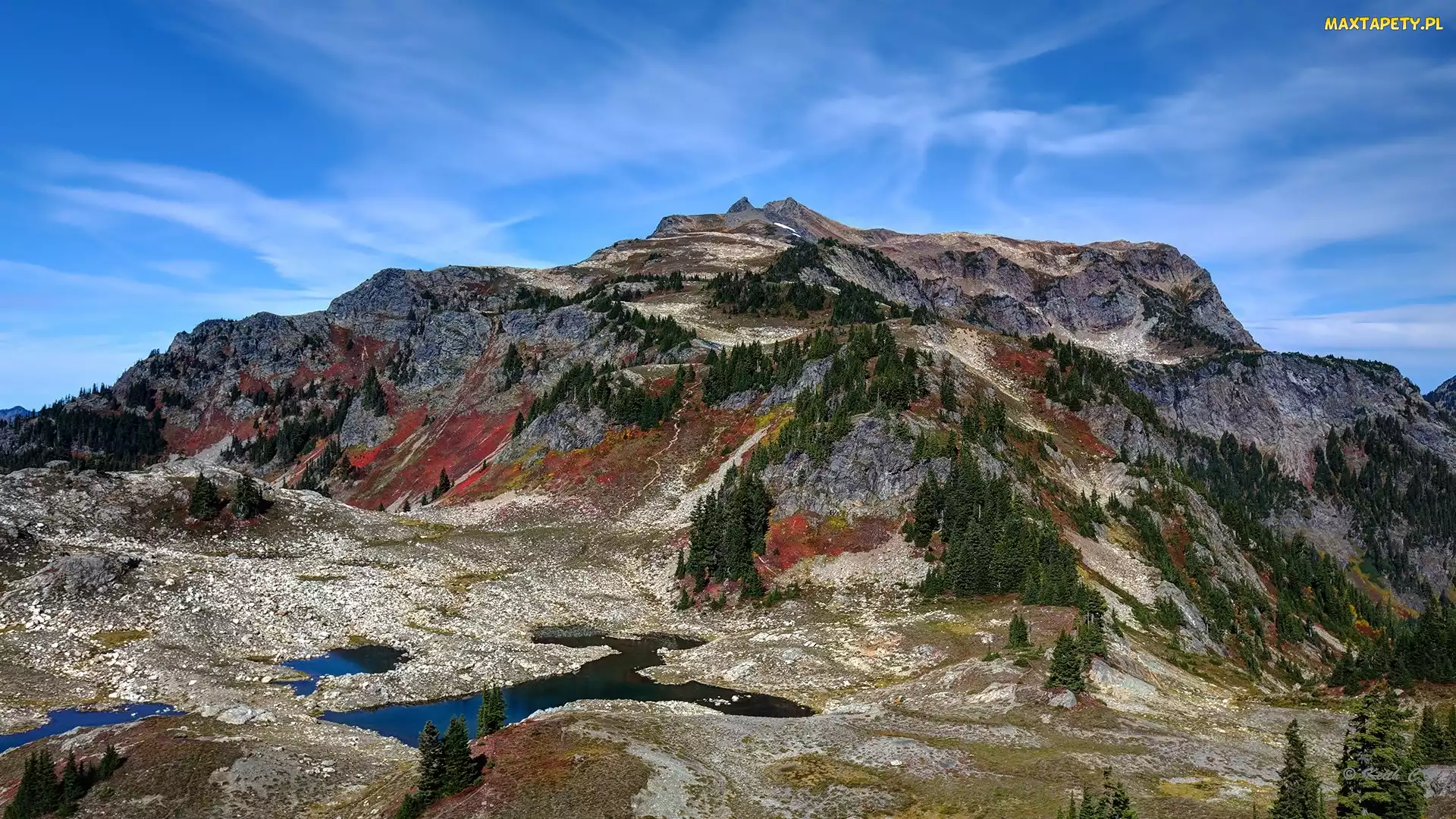 Stany Zjednoczone, Jezioro, Skagit Range, Góry, Góra Tomyhoi Peak, Drzewa