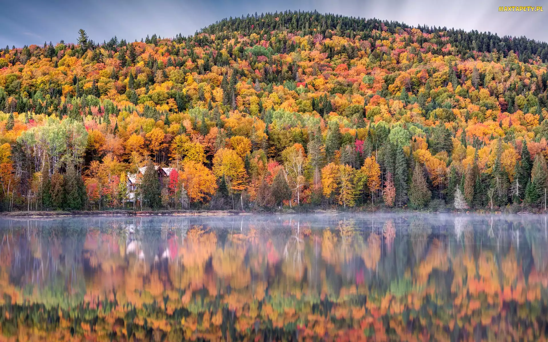 Kanada, Odbicie, Dom, Quebec, Drzewa, Las, Jesień, Jezioro, Park Narodowy La Mauricie, Mgła