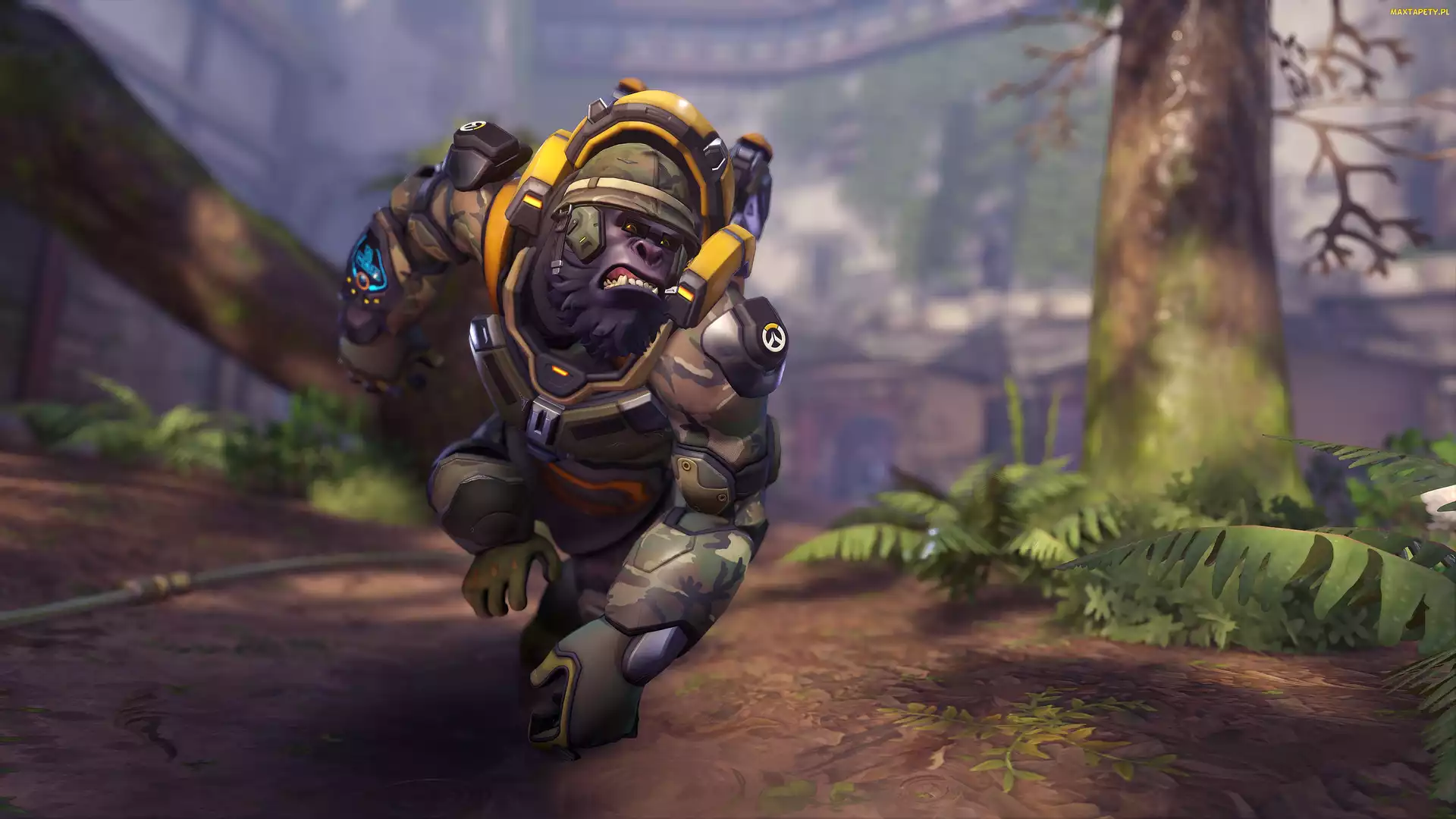 Overwatch 2, Gra, Postać, Winston