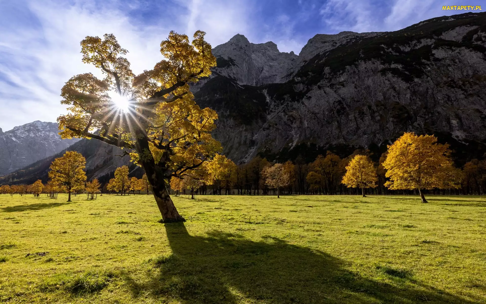 Promienie słońca, Jesień, Dolomity, Góry, Las, Drzewa