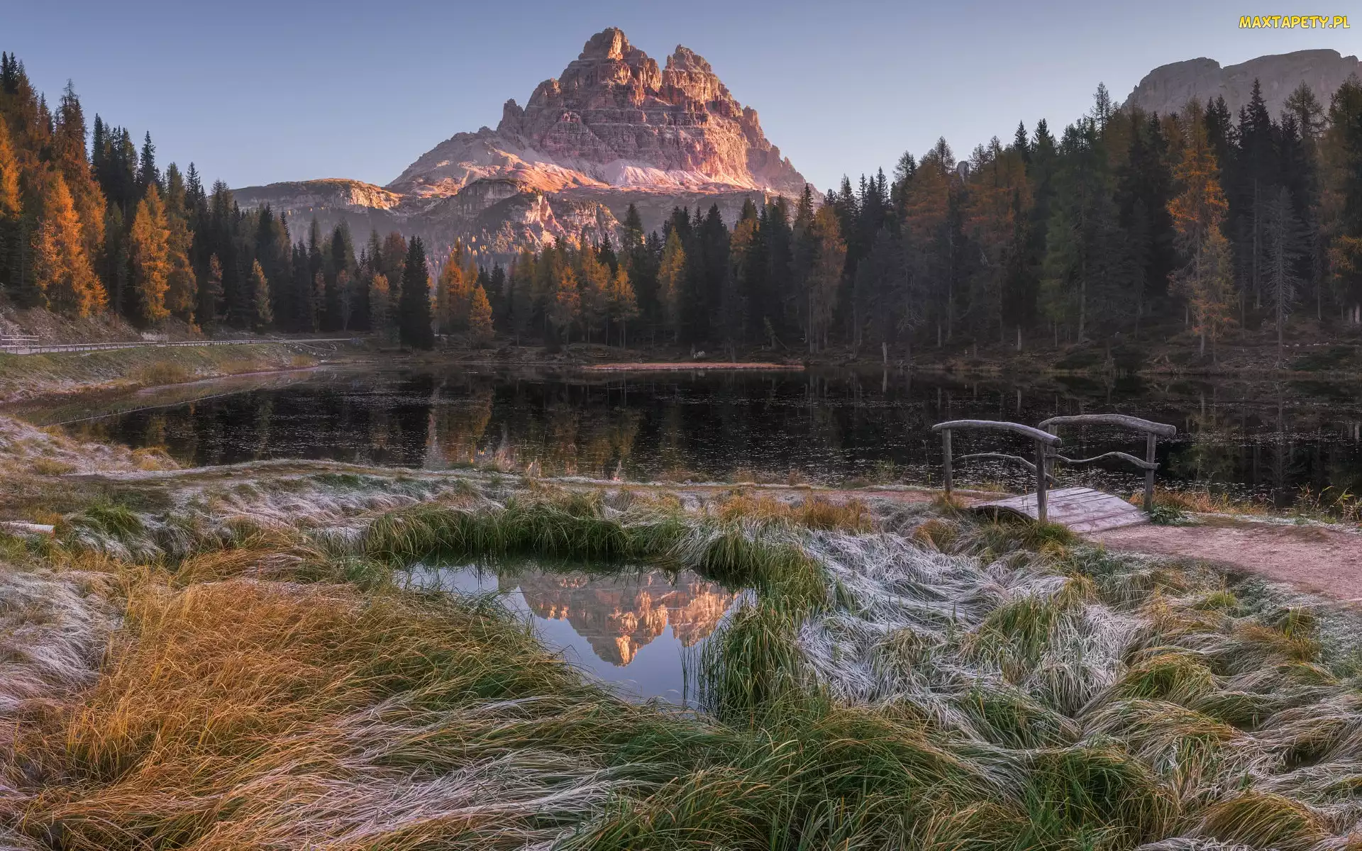 Jezioro, Mostek, Włochy, Drzewa, Trawy, Prowincja Belluno, Antorno Lake, Góry Dolomity, Masyw Tre Cime di Lavaredo