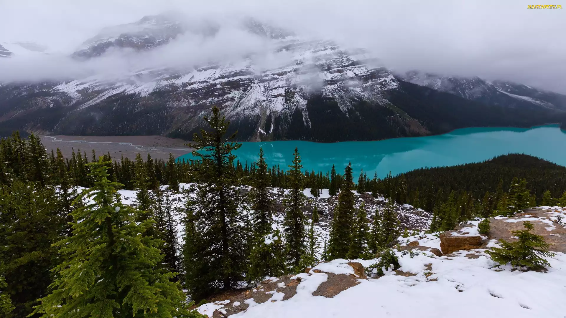 Park Narodowy Banff, Alberta, Drzewa, Kanada, Śnieg, Lasy, Jezioro, Peyto Lake, Góry