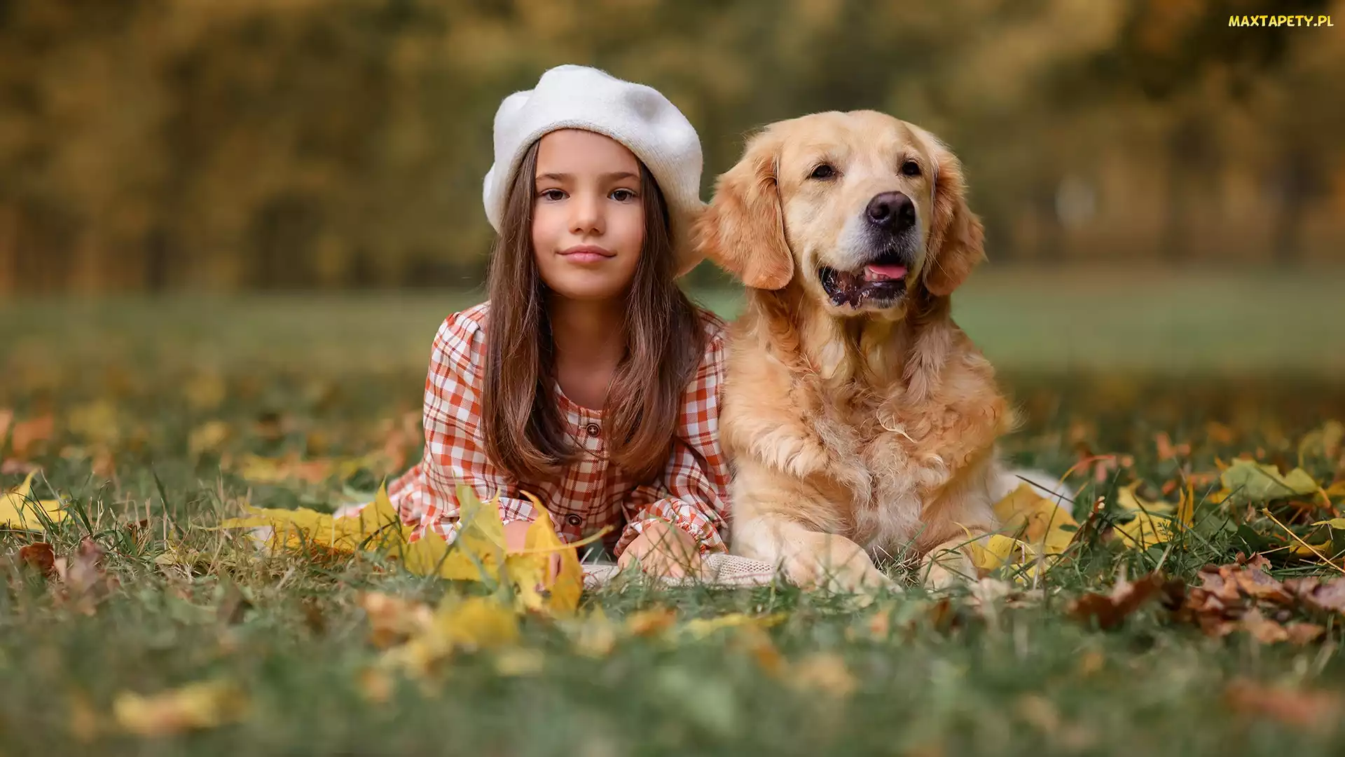 Liście, Jesień, Pies, Dziewczynka, Golden retriever, Łąka