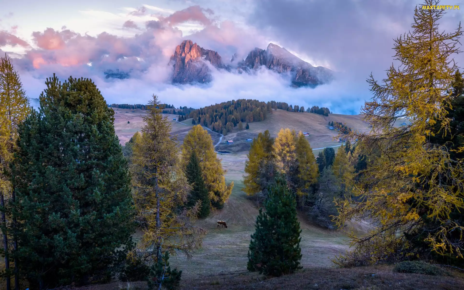 Dolomity, Krowa, Góry, Jesień, Chmury, Drzewa, Włochy, Mgła