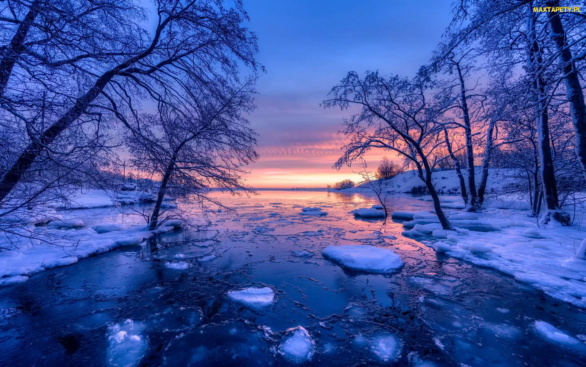 Rzeka, Finlandia, Wschód słońca, Drzewa, Zima