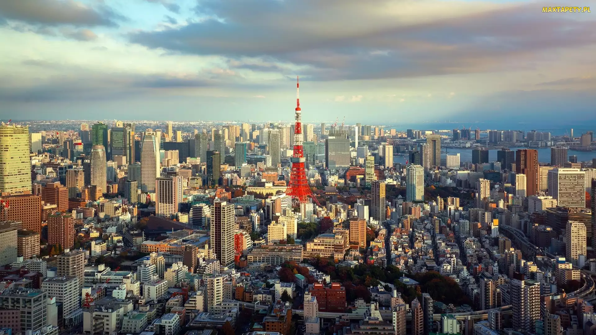 Miasto, Japonia, Tokio, Domy, Wieża