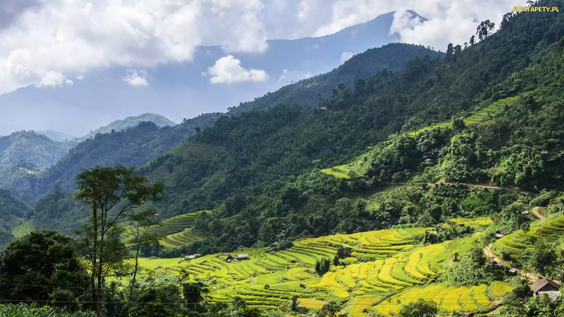 Góry, Pola, Wietnam, Hoang Su Phi