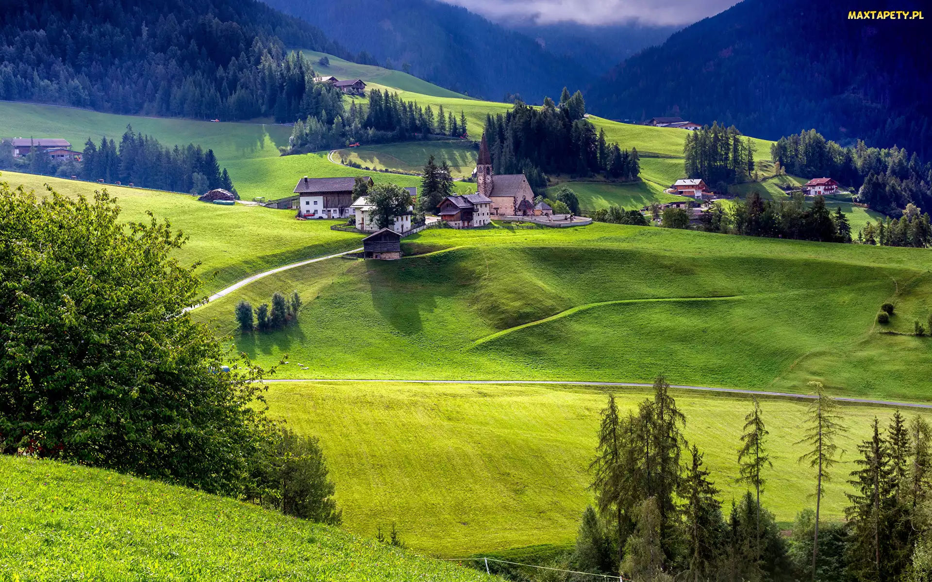 Drogi, Kościół, Santa Maddalena, Domy, Alpy, Góry, Lasy, Drzewa, Włochy, Wieś