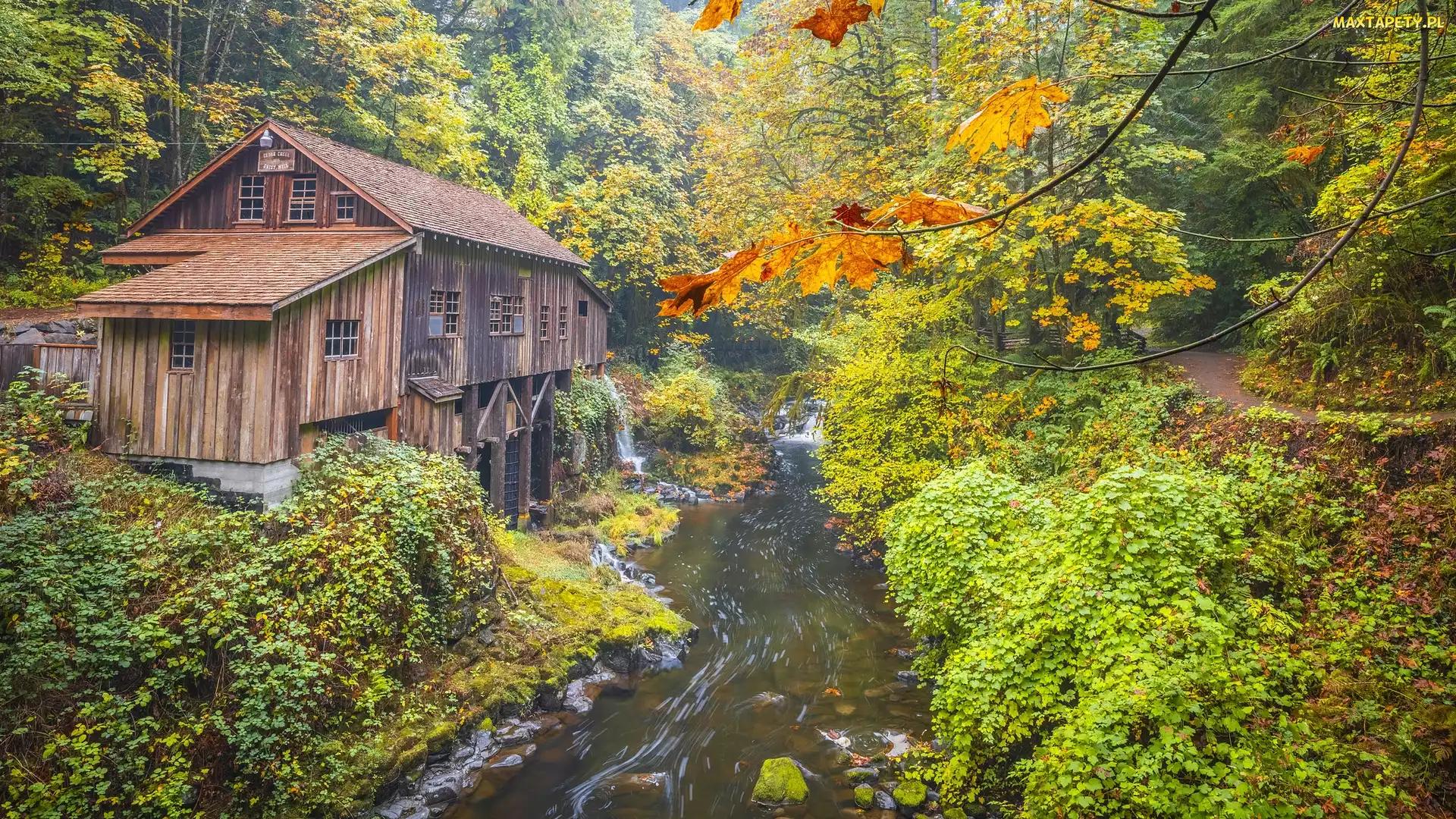 Jesień, Stan Waszyngton, Młyn, Stany Zjednoczone, Cedar Creek Grist Mill, Rzeka, Las, Drzewa, Wodospad