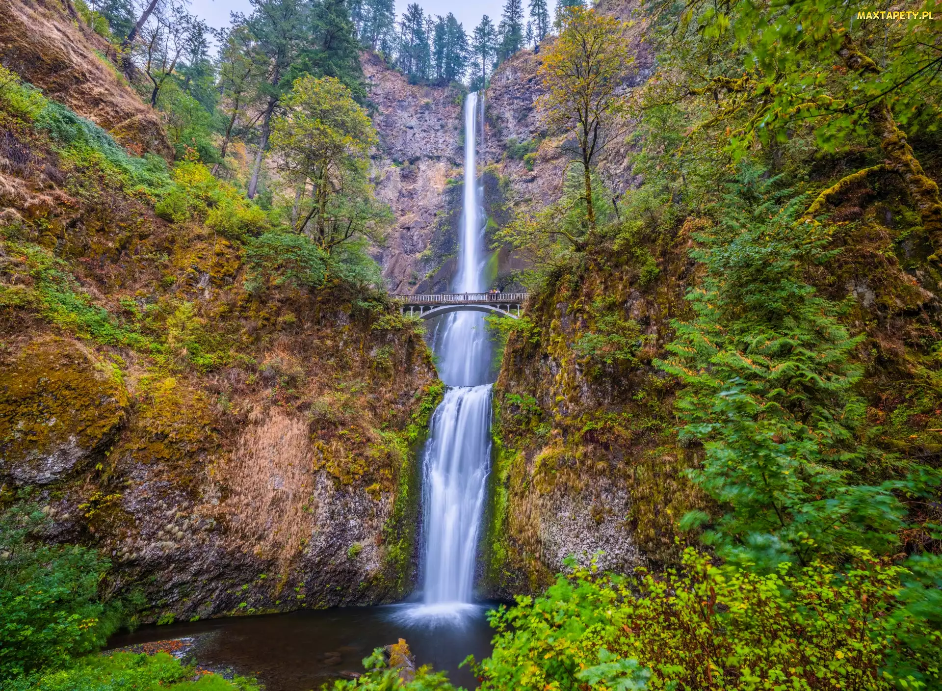 Wodospad, Oregon, Drzewa, Stany Zjednoczone, Roślinność, Skały, Multnomah Falls, Jesień, Most
