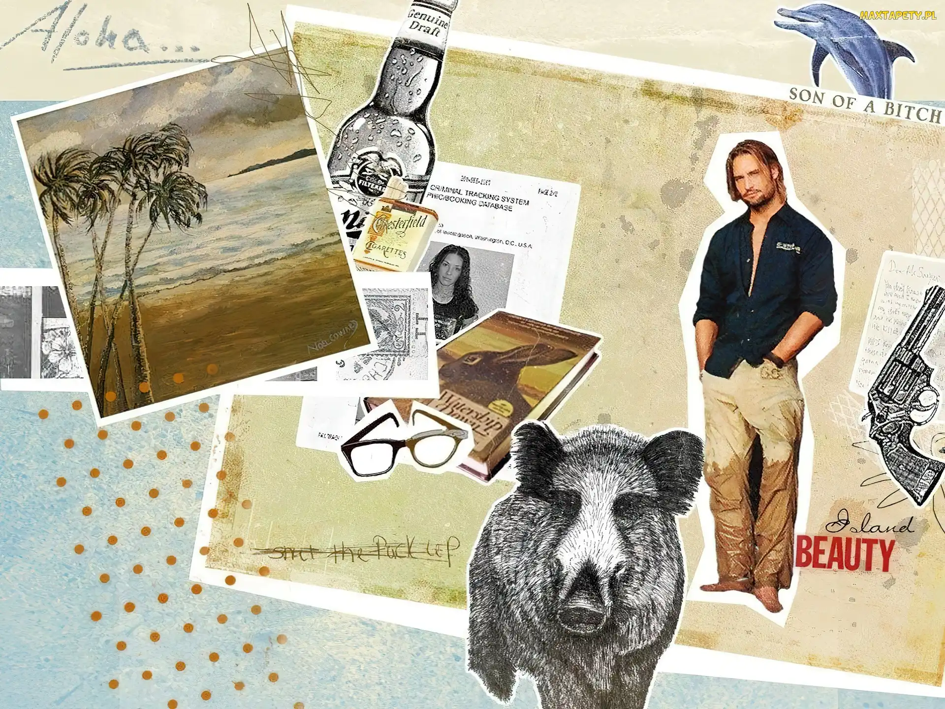 Josh Holloway, Zagubieni, Serial, Lost