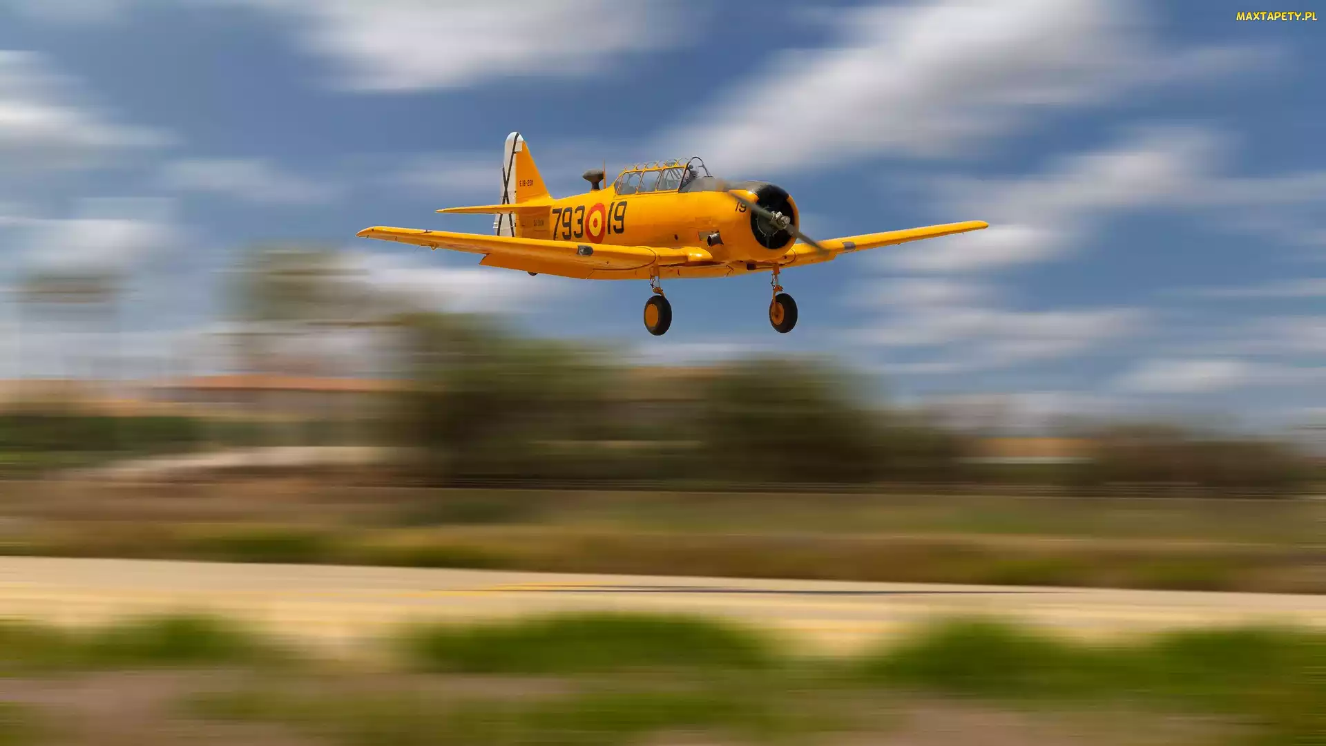 Żółty, North American T-6 Texan, Samolot