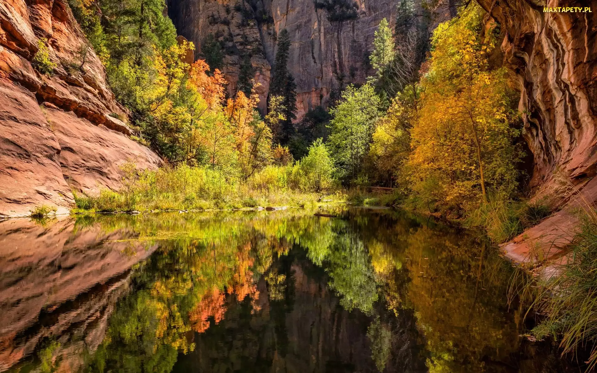 Stan Arizona, Wąwóz, Stany Zjednoczone, Skały, Drzewa, Sedona, Odbicie, Rzeka