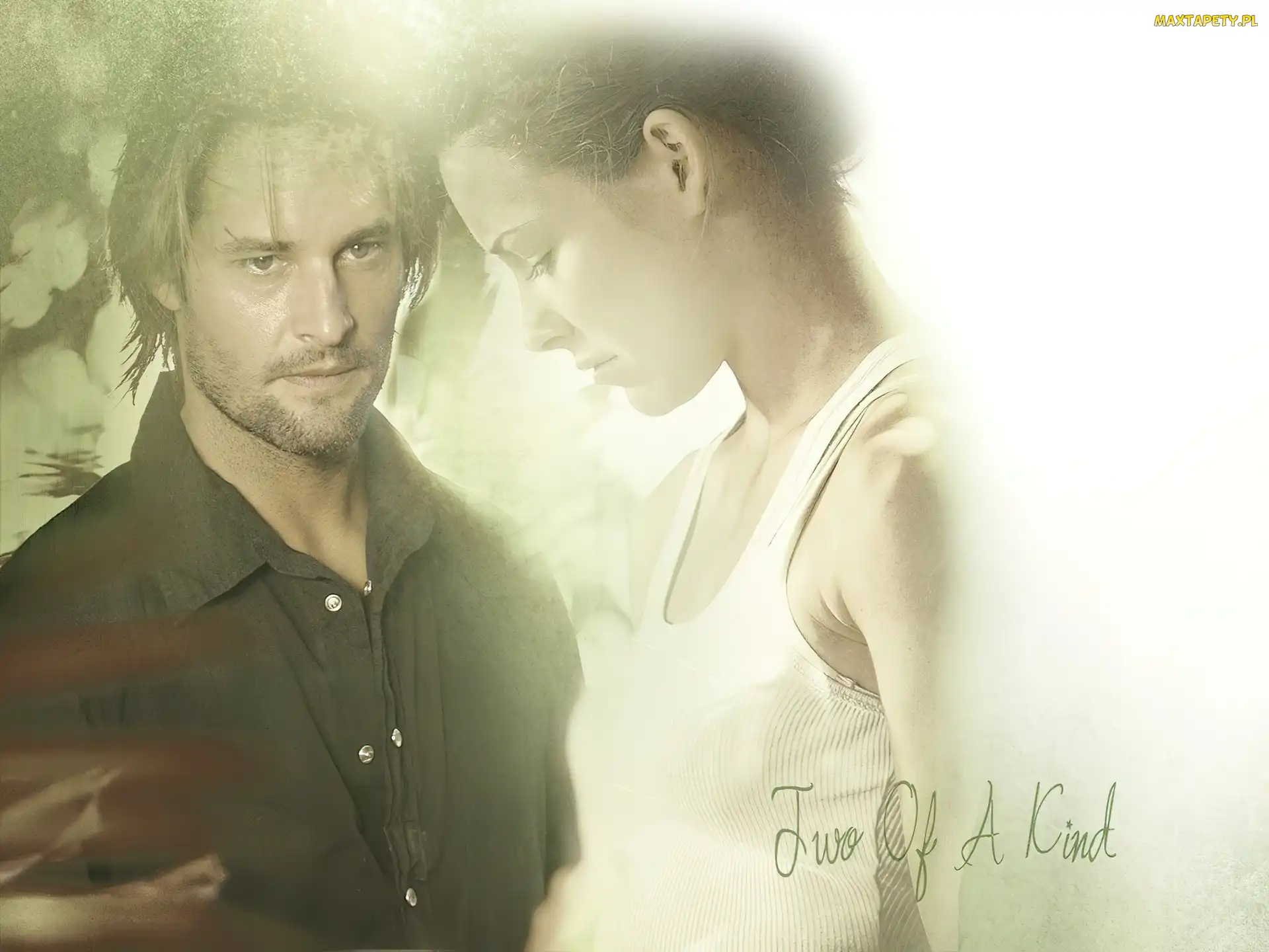 jasne, Evangeline Lilly, Lost, tło, Josh Holloway, Serial, Zagubieni
