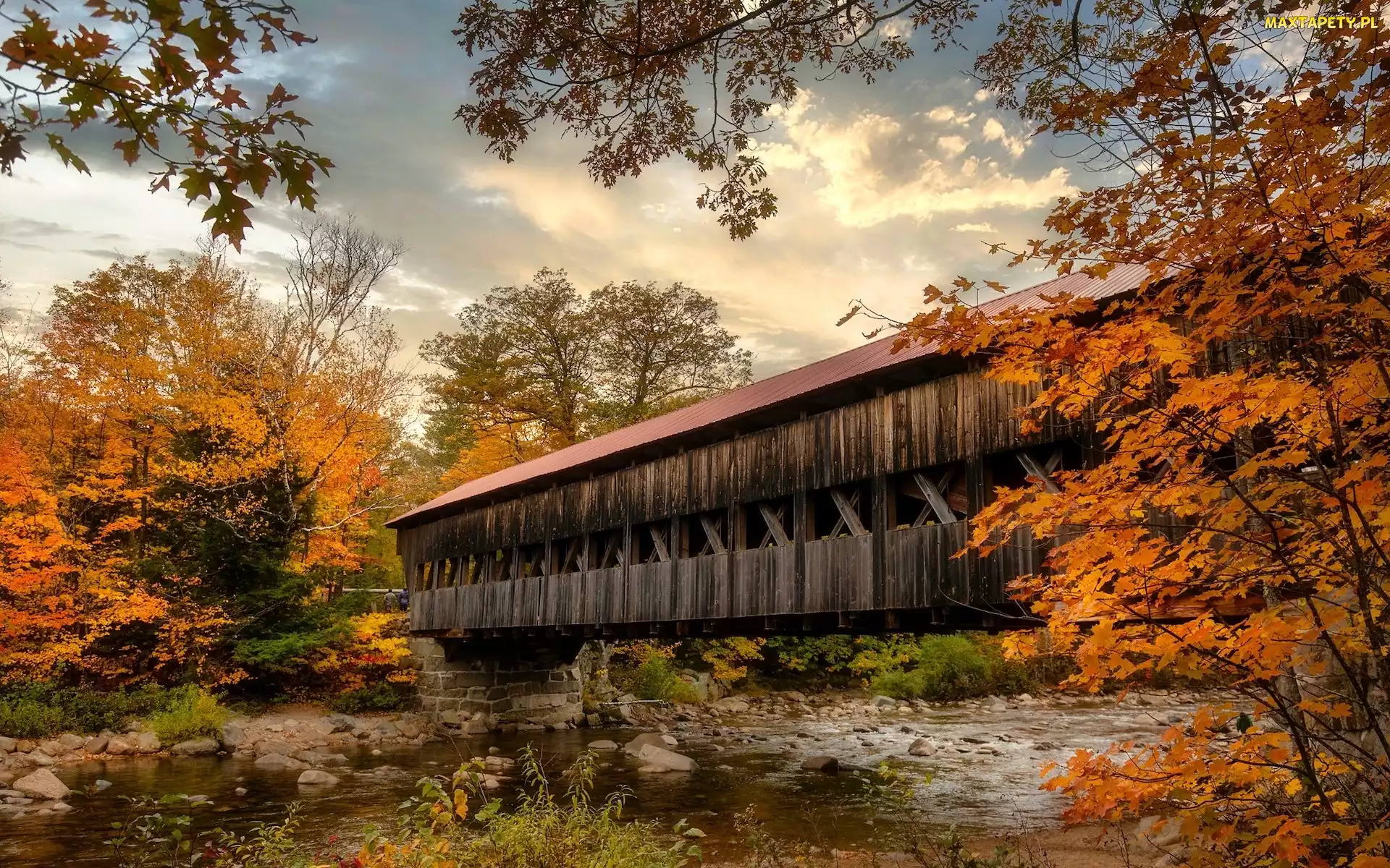 Drzewa, Albany Covered Bridge, Stan New Hampshire, Stany Zjednoczone, Rzeka, Most kryty
