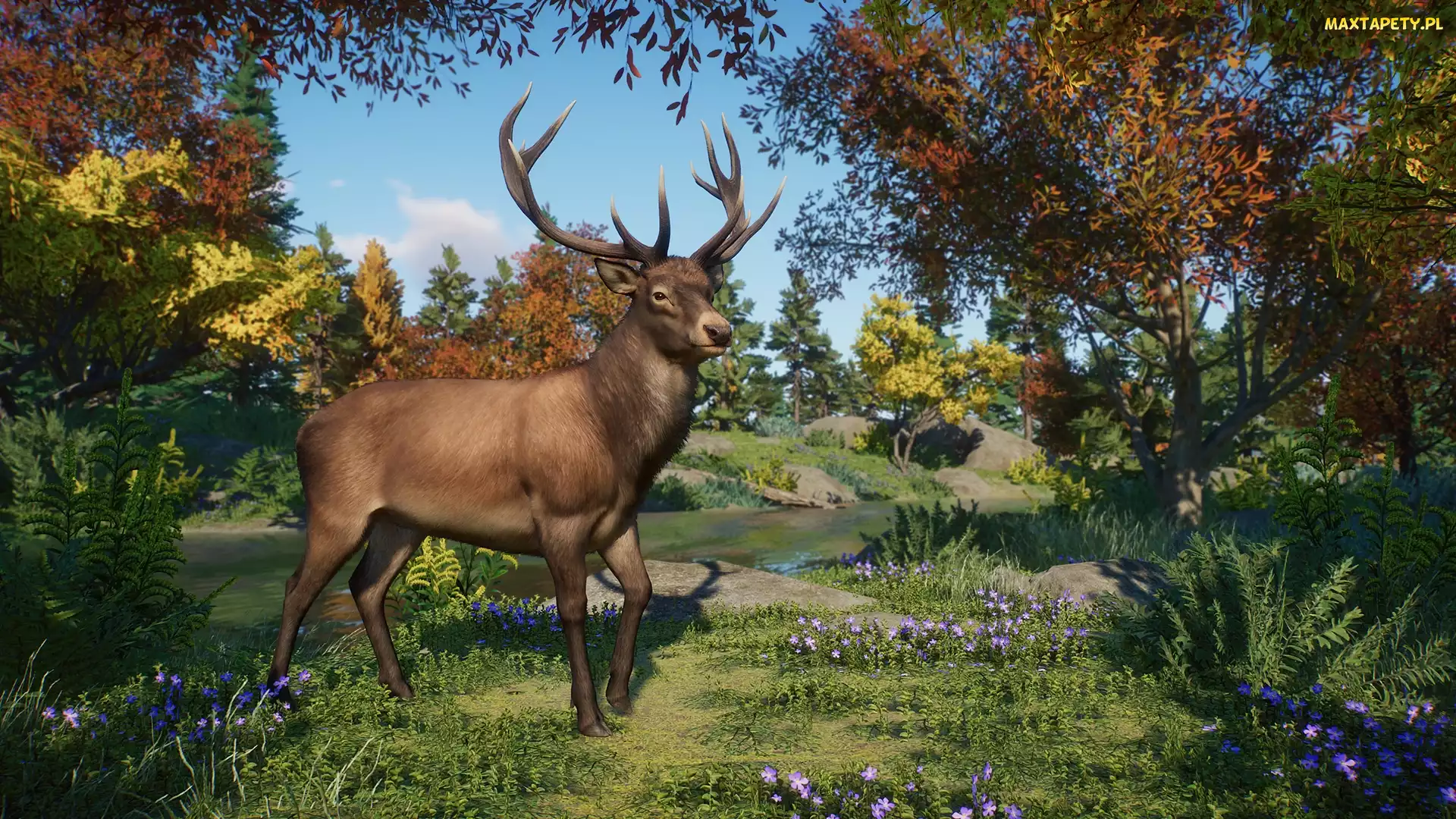 Planet Zoo, Drzewa, Park, Jeleń, Gra