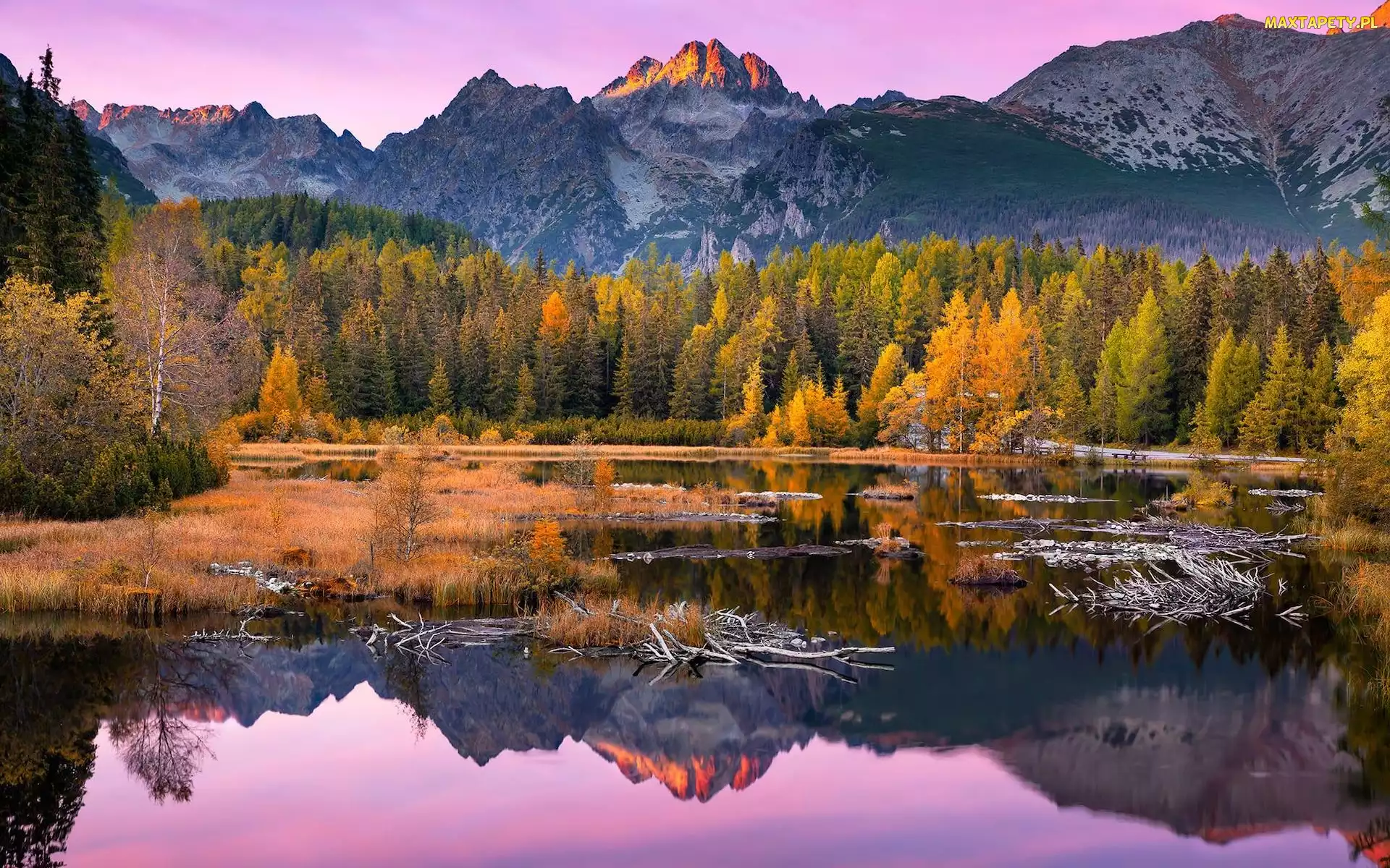 Drzewa, Jesień, Góry, Jezioro Szczyrbskie, Jezioro, Słowacja, Tatry