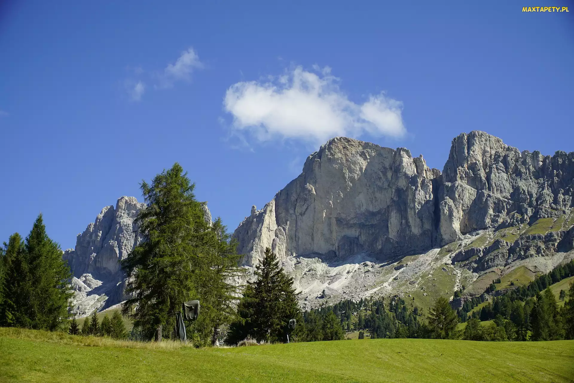 Łąka, Drzewa, Roda di Vael, Włochy, Dolomity, Szczyt, Góry