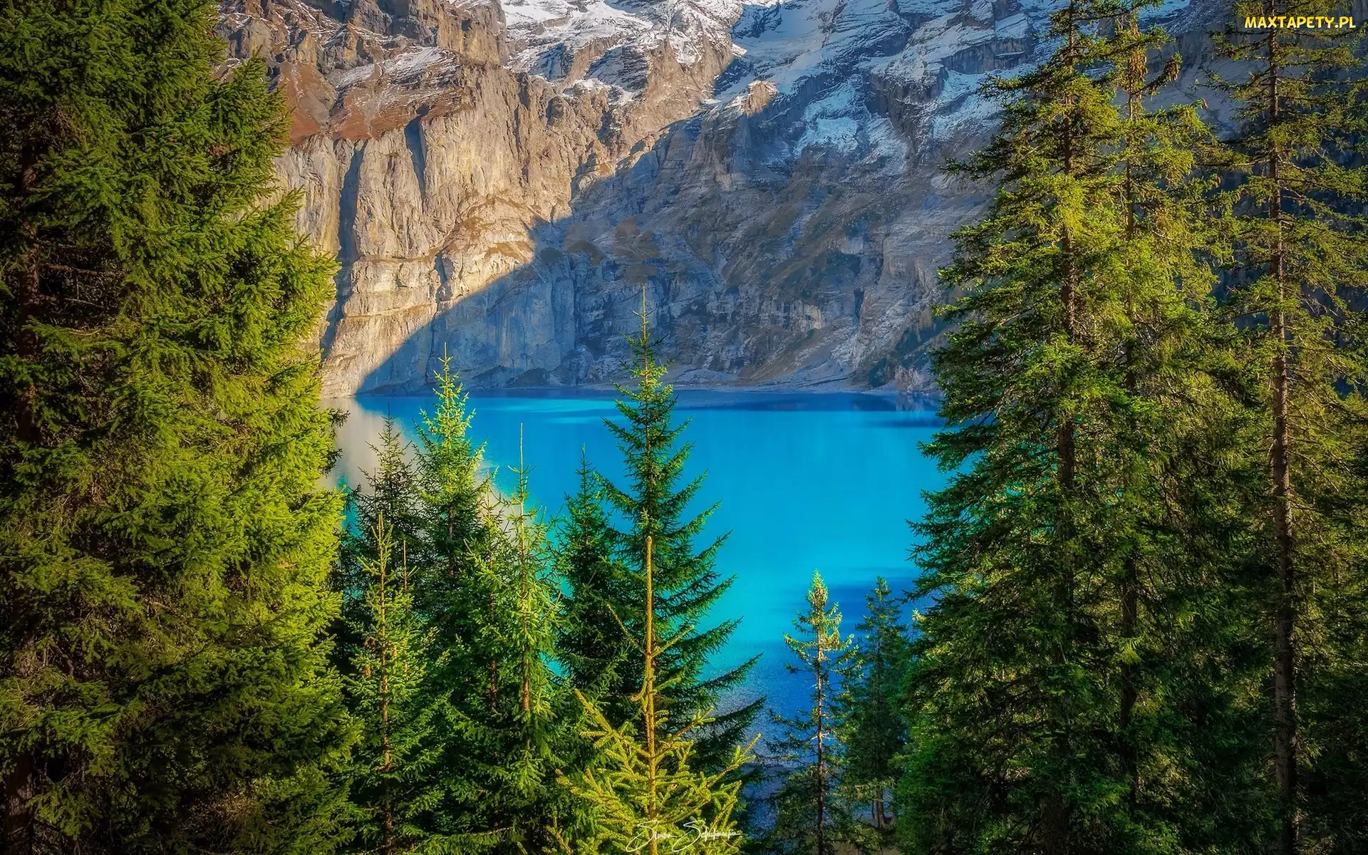 Drzewa, Oeschinen Lake, Góry, Szwajcaria, Alpy, Jezioro