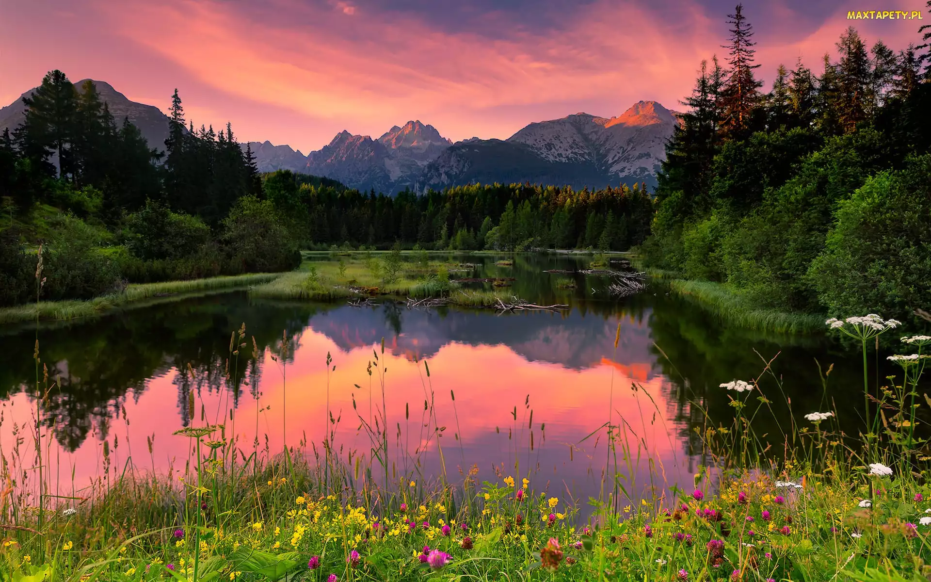 Góry, Łąka, Słowacja, Jezioro, Drzewa, Tatry, Jezioro Szczyrbskie, Kwiaty