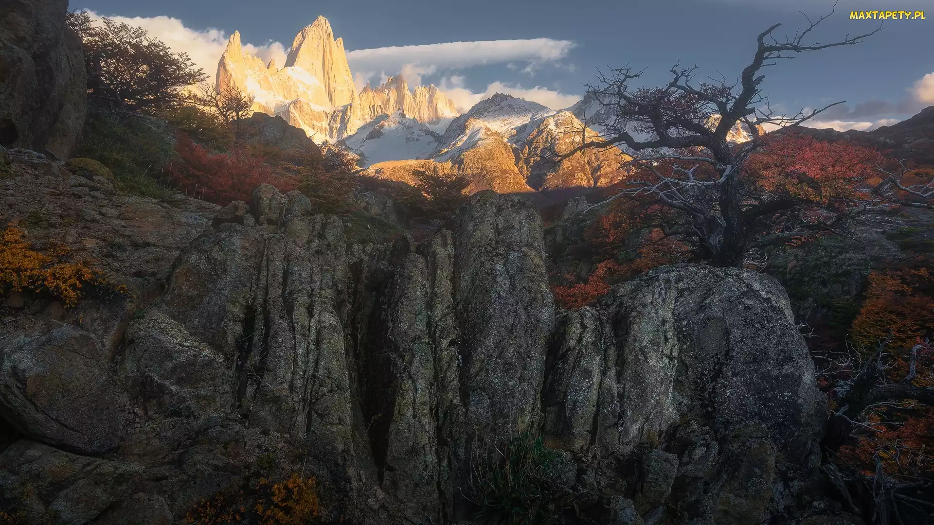 Jesień, Skały, Patagonia, Drzewa, Fitz Roy, Argentyna, Góra