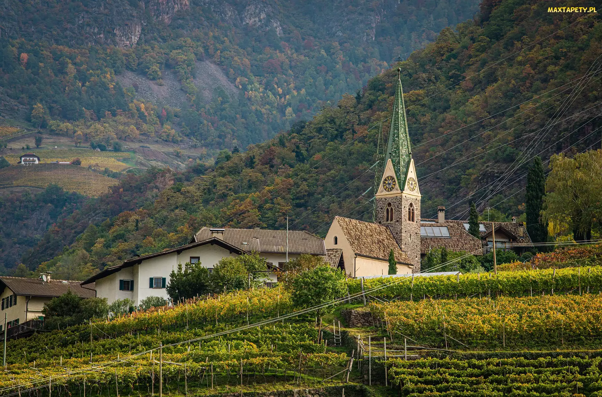 Włochy, Gmina Bolzano, Drzewa, Kościół, Las, Winnice