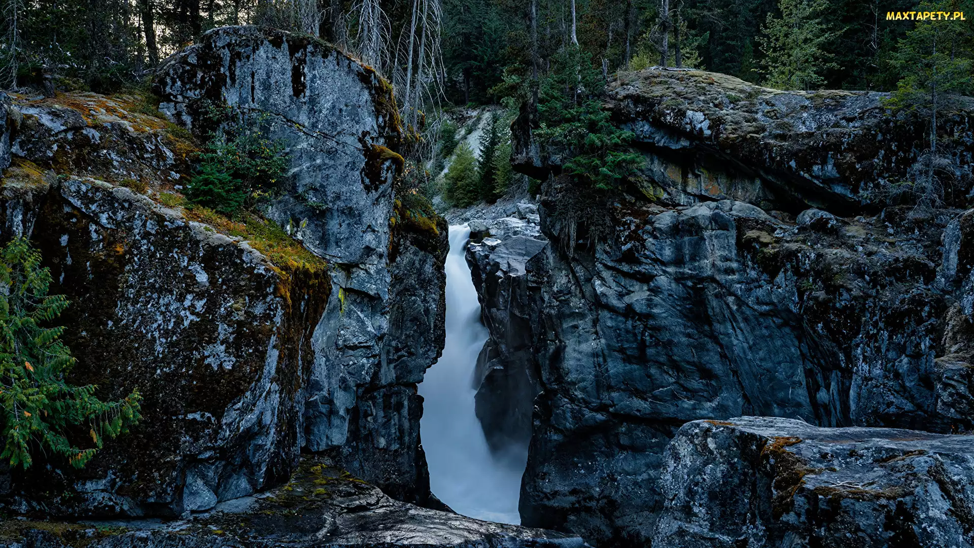 Kanada, Park, Nairn Falls, Wodospad, Skały, Drzewa