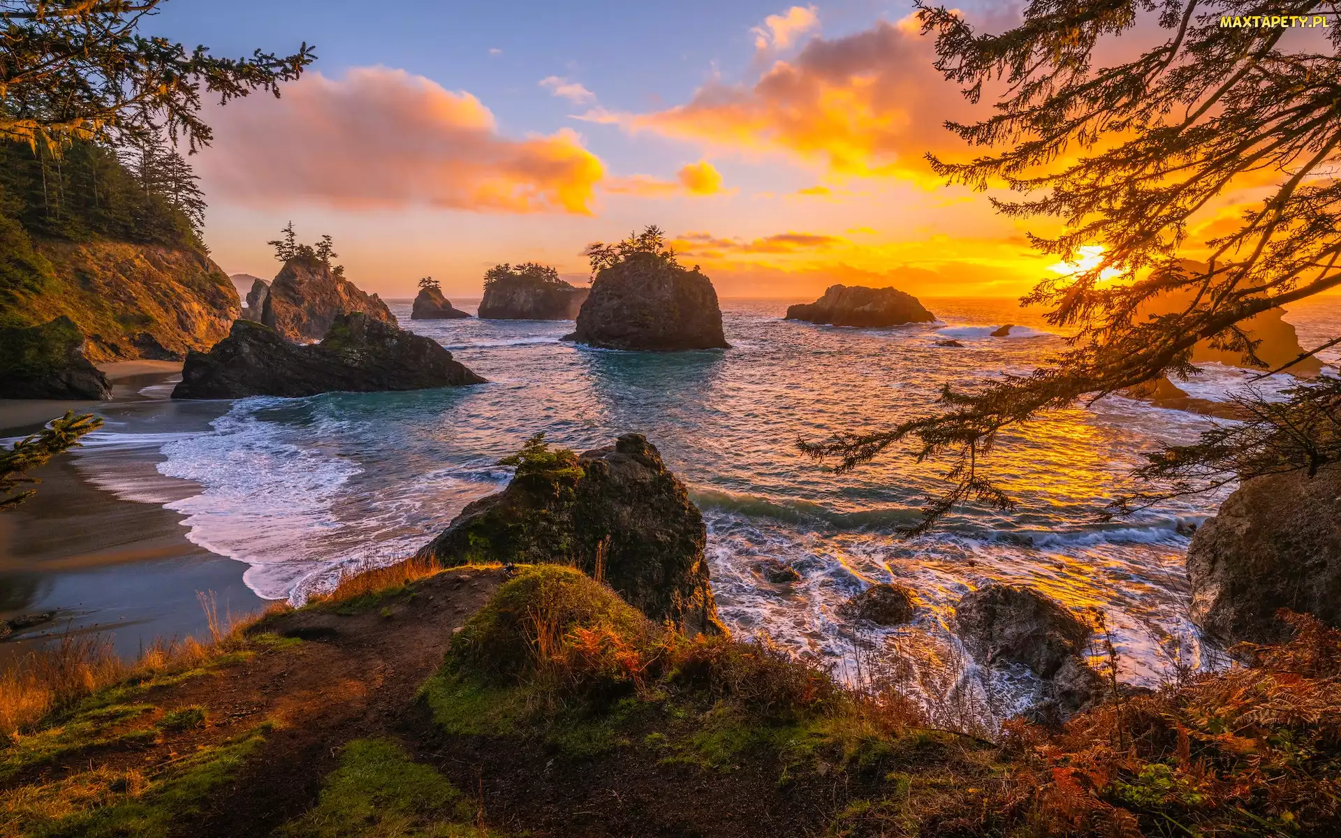 Zachód słońca, Oregon, Wybrzeże Park stanowy, Stany Zjednoczone, Samuel H Boardman State Scenic Corridor, Drzewa, Morze, Wysepki, Skały