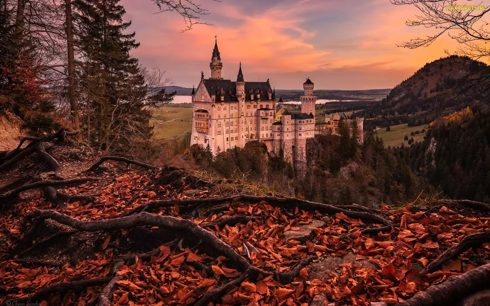 Bawaria, Jesień, Niemcy, Drzewa, Korzenie, Zamek Neuschwanstein, Liście, Wzgórza