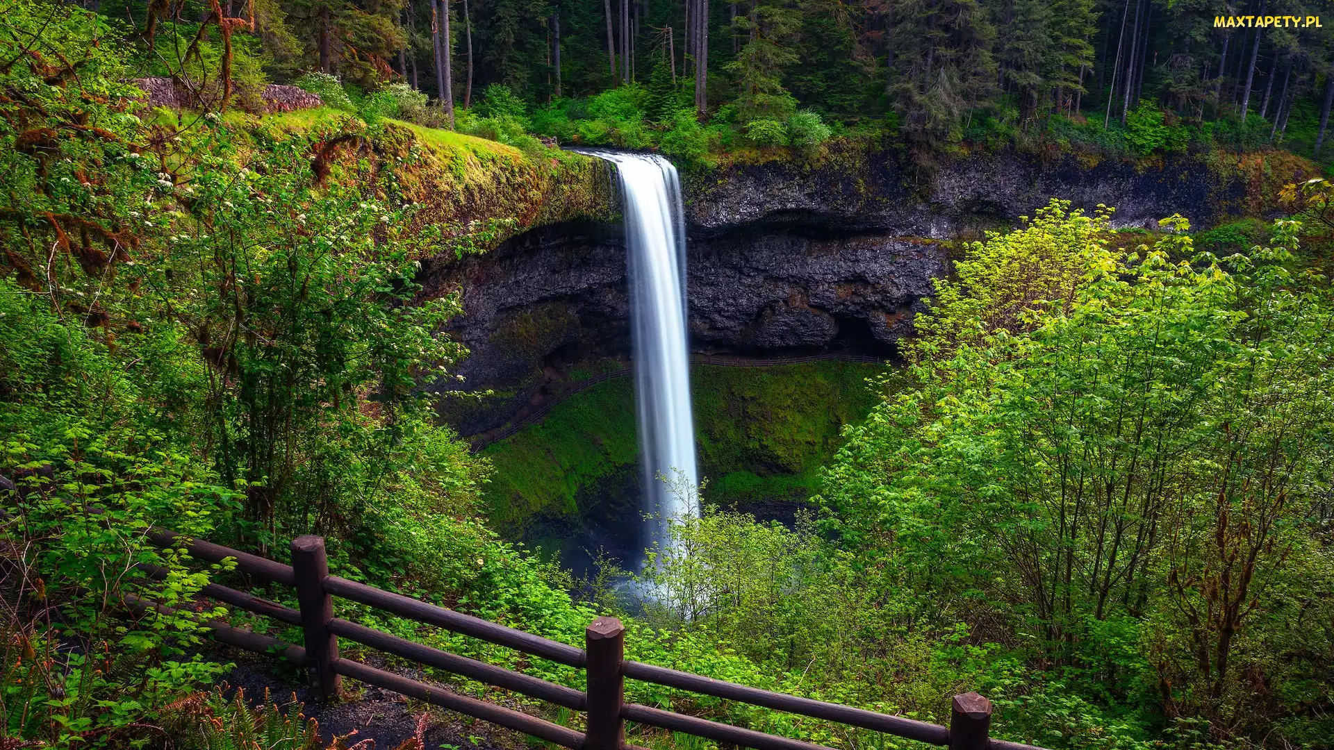 South Falls, Ogrodzenie, Wodospad, Drzewa, Stan Oregon, Skały, Stany Zjednoczone, Park stanowy Silver Falls