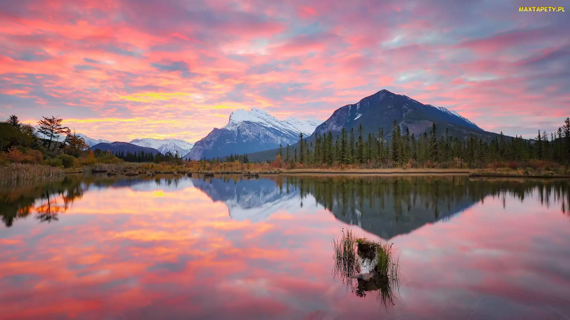 Chmury, Odbicie, Jezioro, Góry, Park Narodowy Banff, Kanada, Vermilion Lakes, Prowincja Alberta, Drzewa, Góra, Mount Rundle