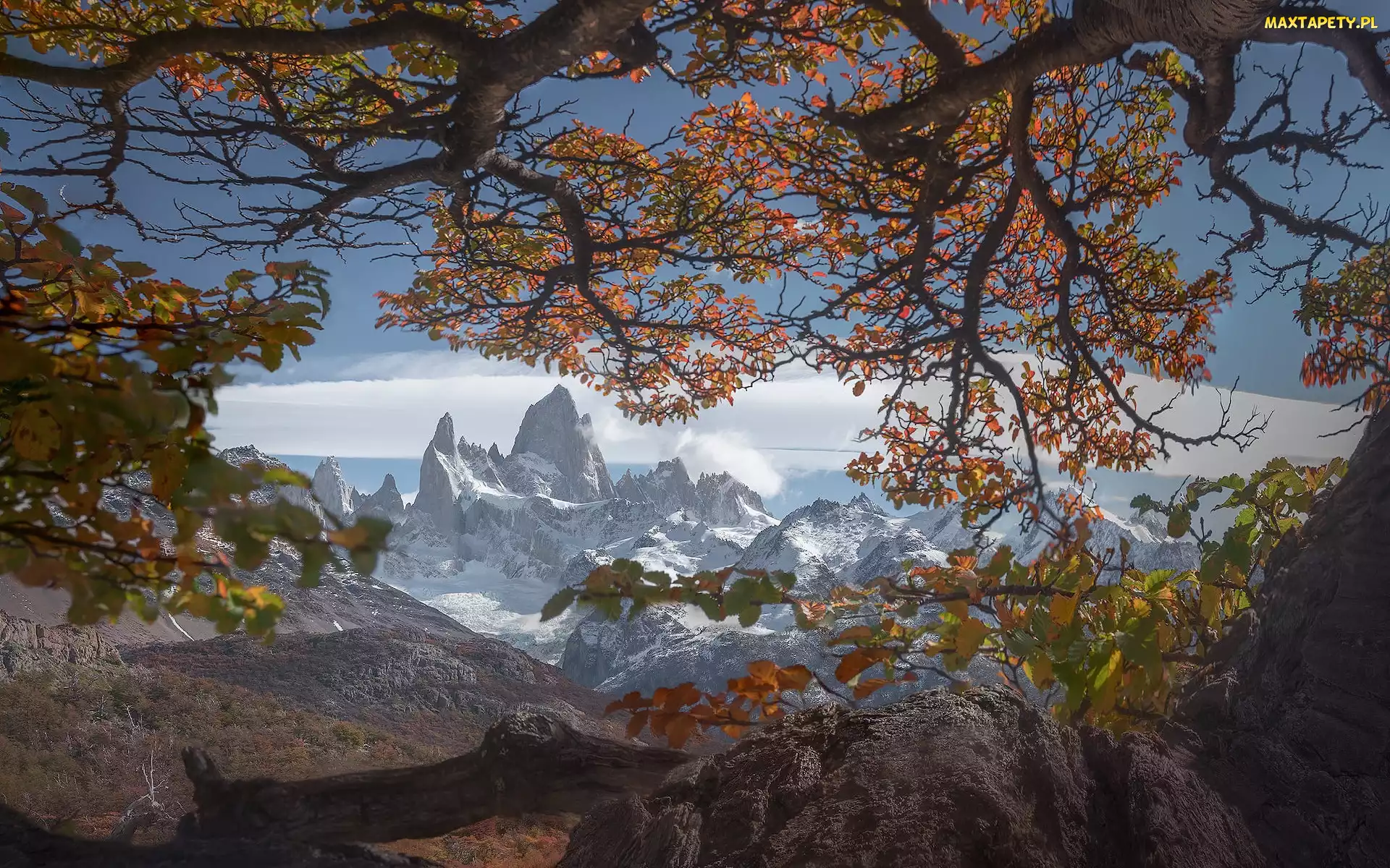 Góry Andy, Park Narodowy Los Glaciares, Jesień, Fitz Roy, Patagonia, Góra, Argentyna, Drzewa