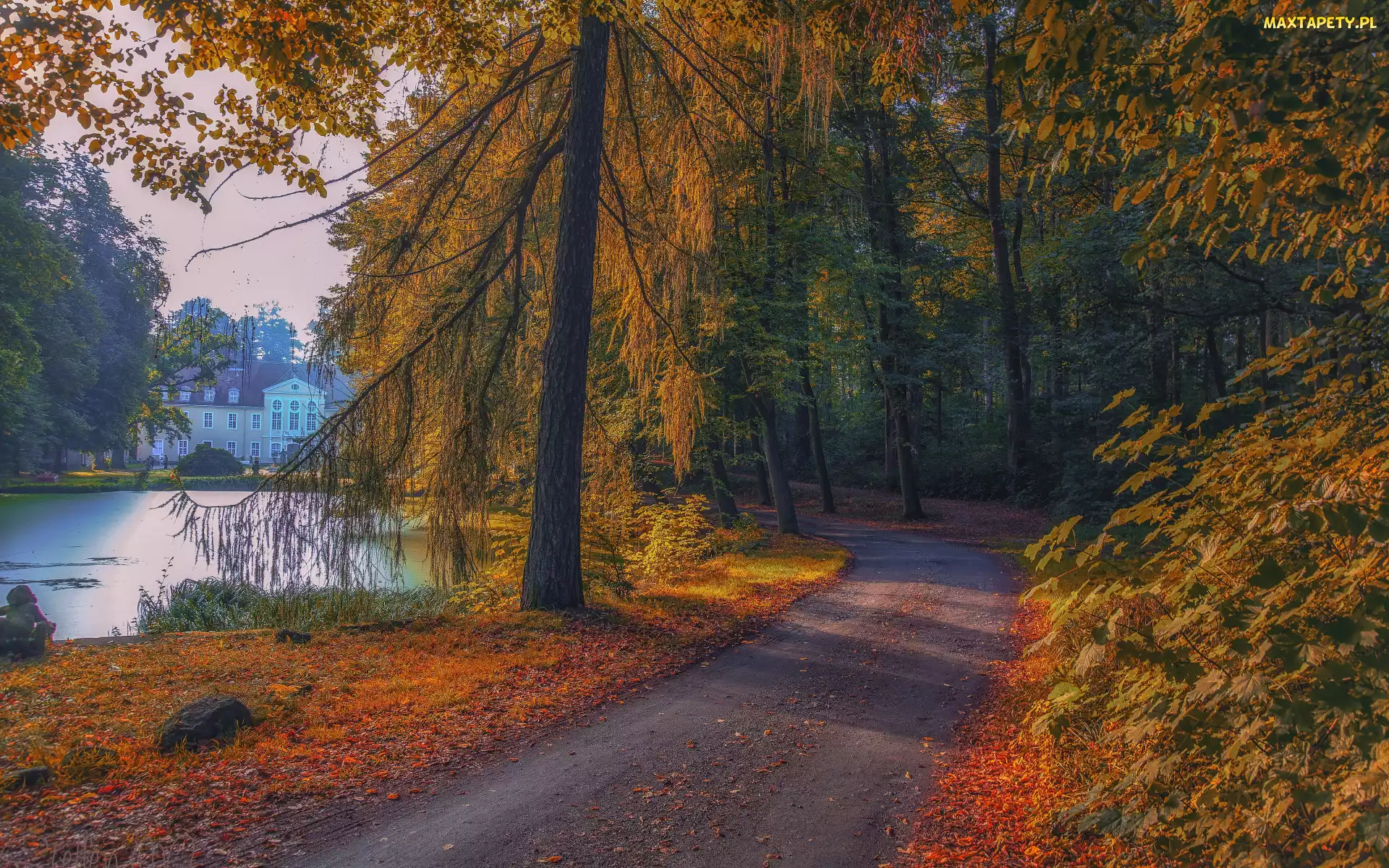 Drzewa, Staw, Las, Ścieżka, Park, Droga, Jesień, Dom