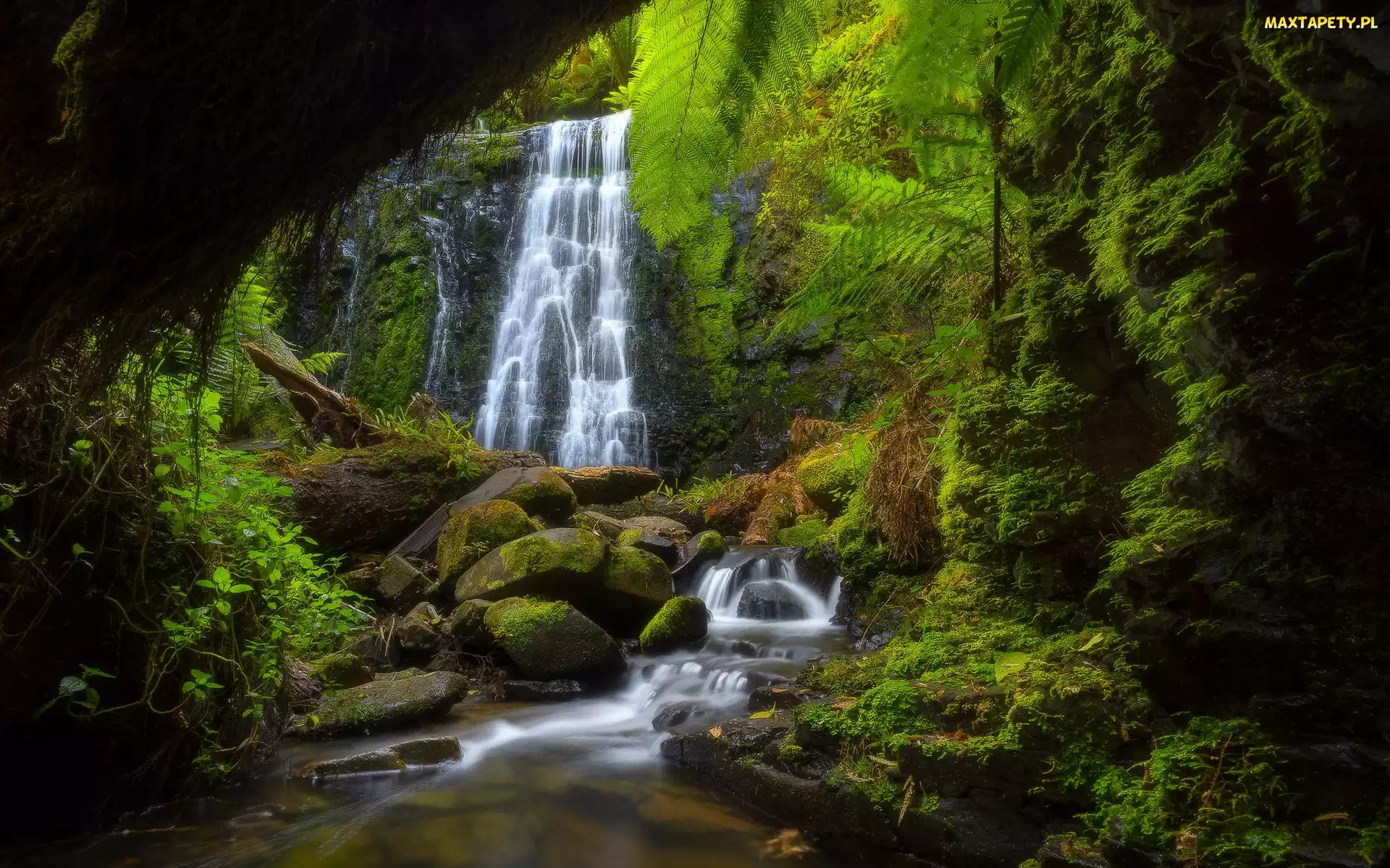 Australia, Roślinność, Drzewa, Wiktoria, Kamienie, Rzeka, Skały, Wodospad, Las, Monomeith Falls
