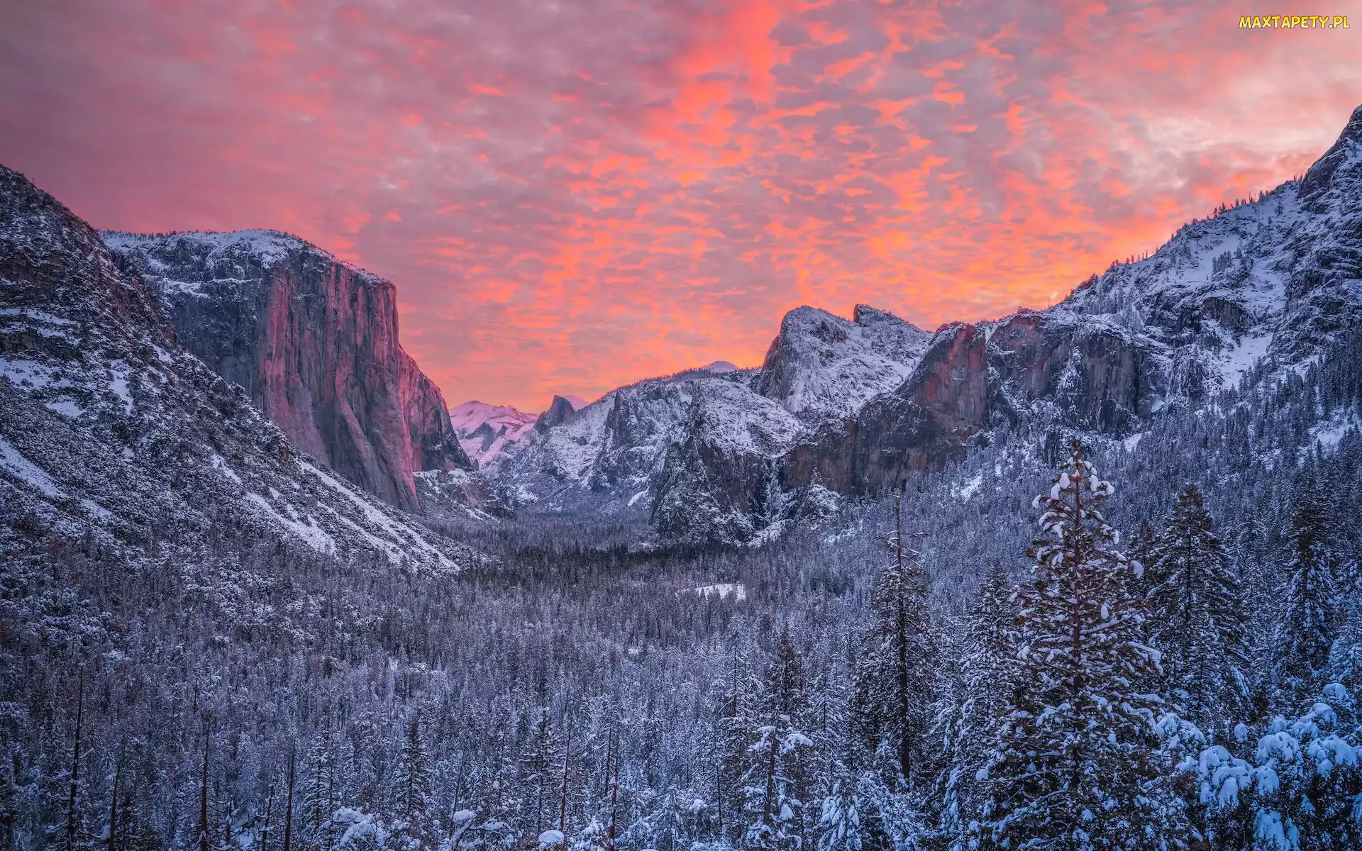 Kalifornia, Drzewa, Stany Zjednoczone, Zima, Góra, Park Narodowy Yosemite, El Capitan, Ośnieżone