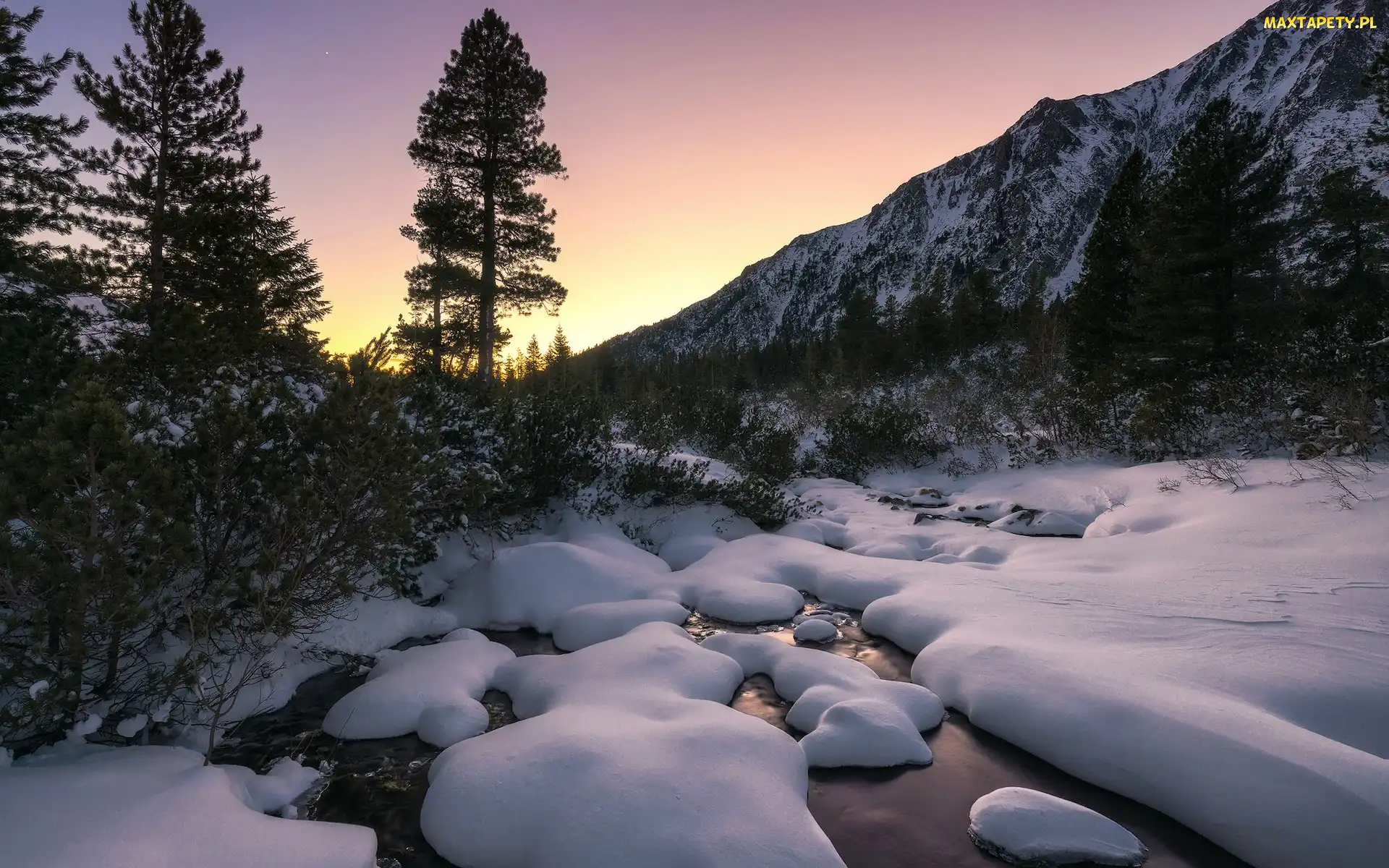 Śnieg, Rzeka, Góry, Słowacja, Tatry, Drzewa
